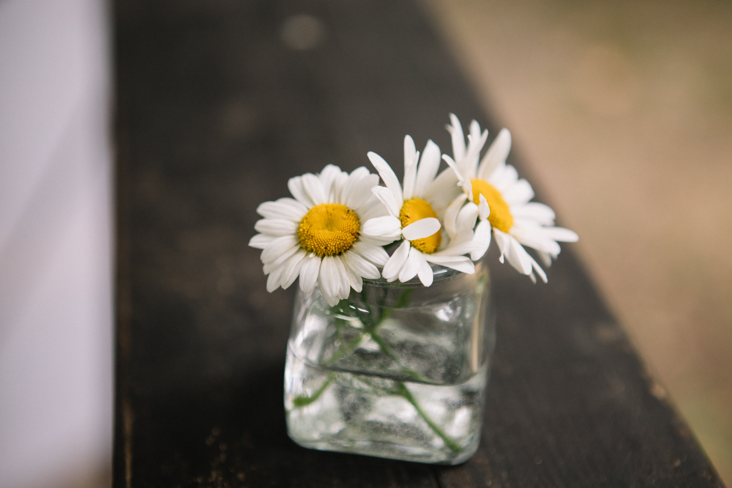 Фестиваль к Дню семьи, любви и верности. Фотограф в Иркутске Анастасия Кись. Студийная фотосессия беременности в тканях Иркутск. Семейная фотосессия, ПОРТРЕТ «ПОКОЛЕНИЕ»