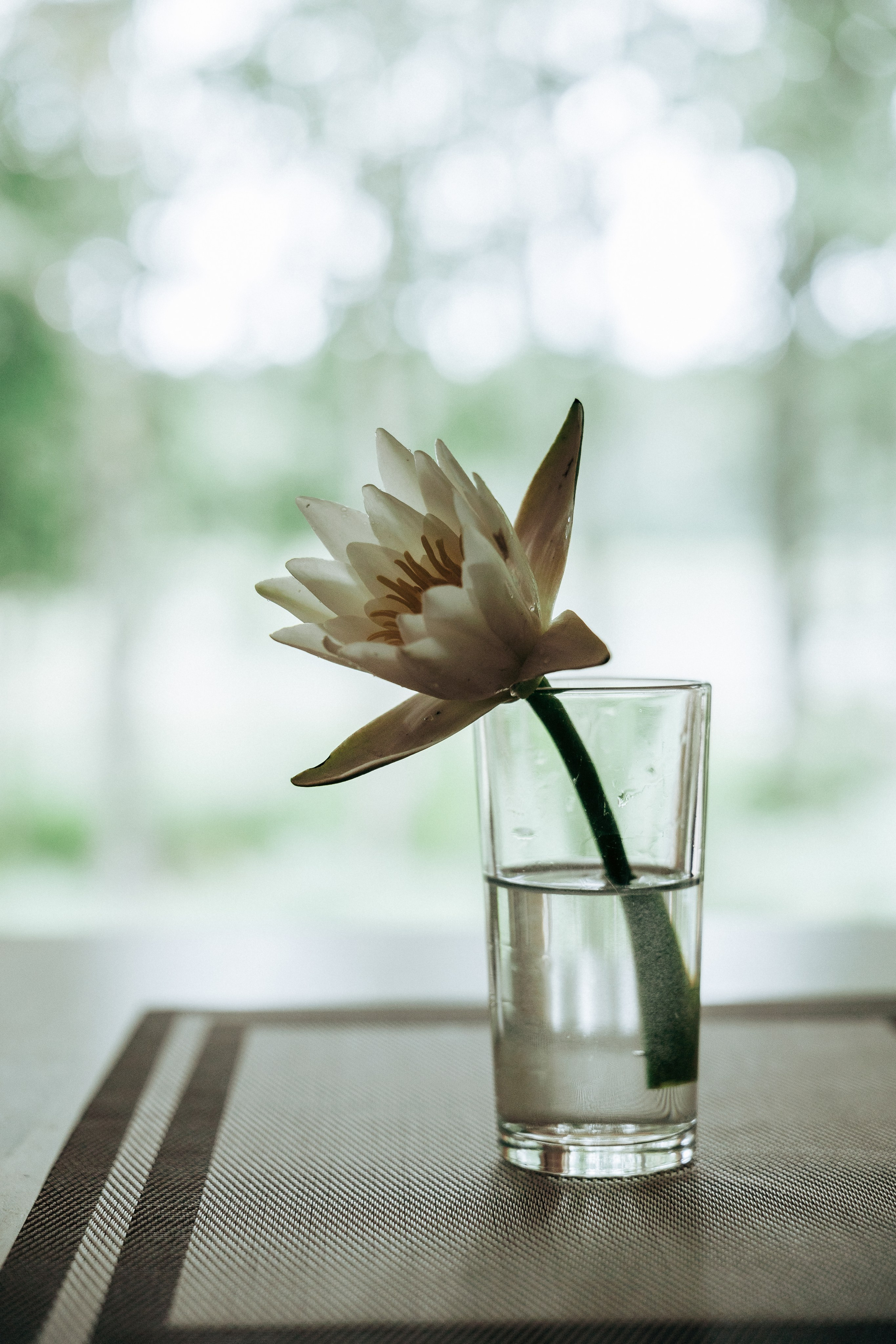 Фотосессия в лесу. Профессиональный фотограф в Санкт-Петербурге Александр Волосенцев