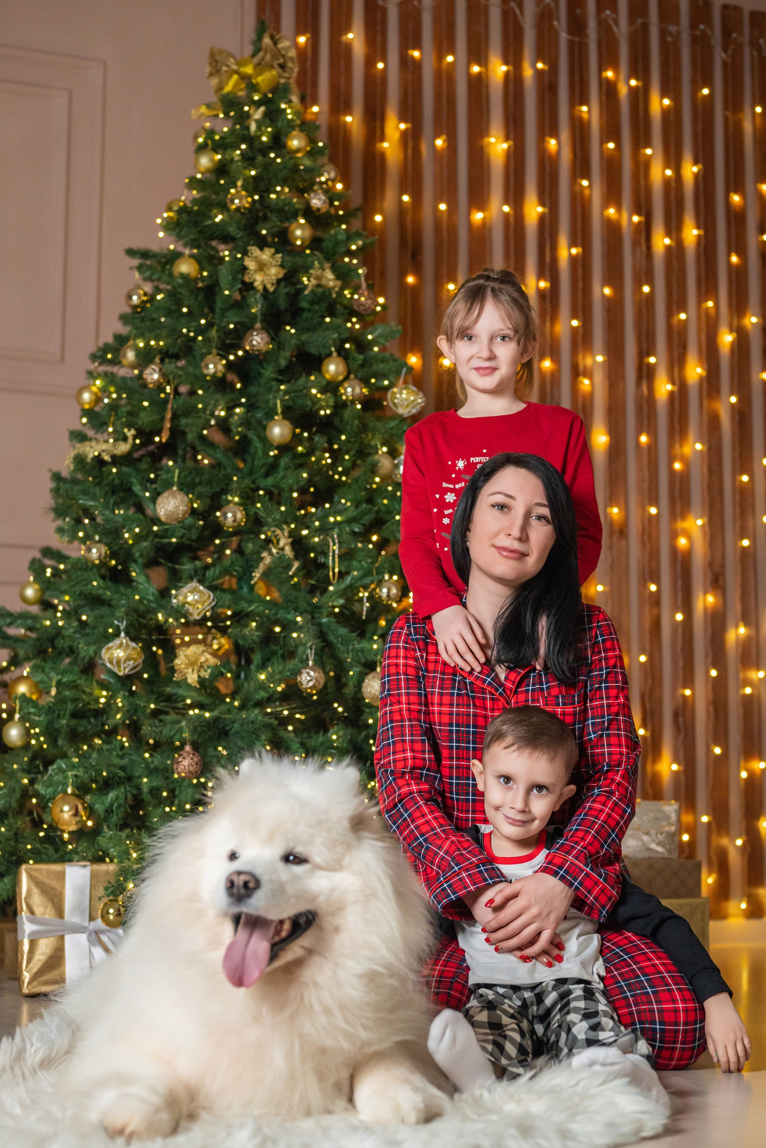 Фотопроект с самоедом 2023 г. Фотограф в городе Салават