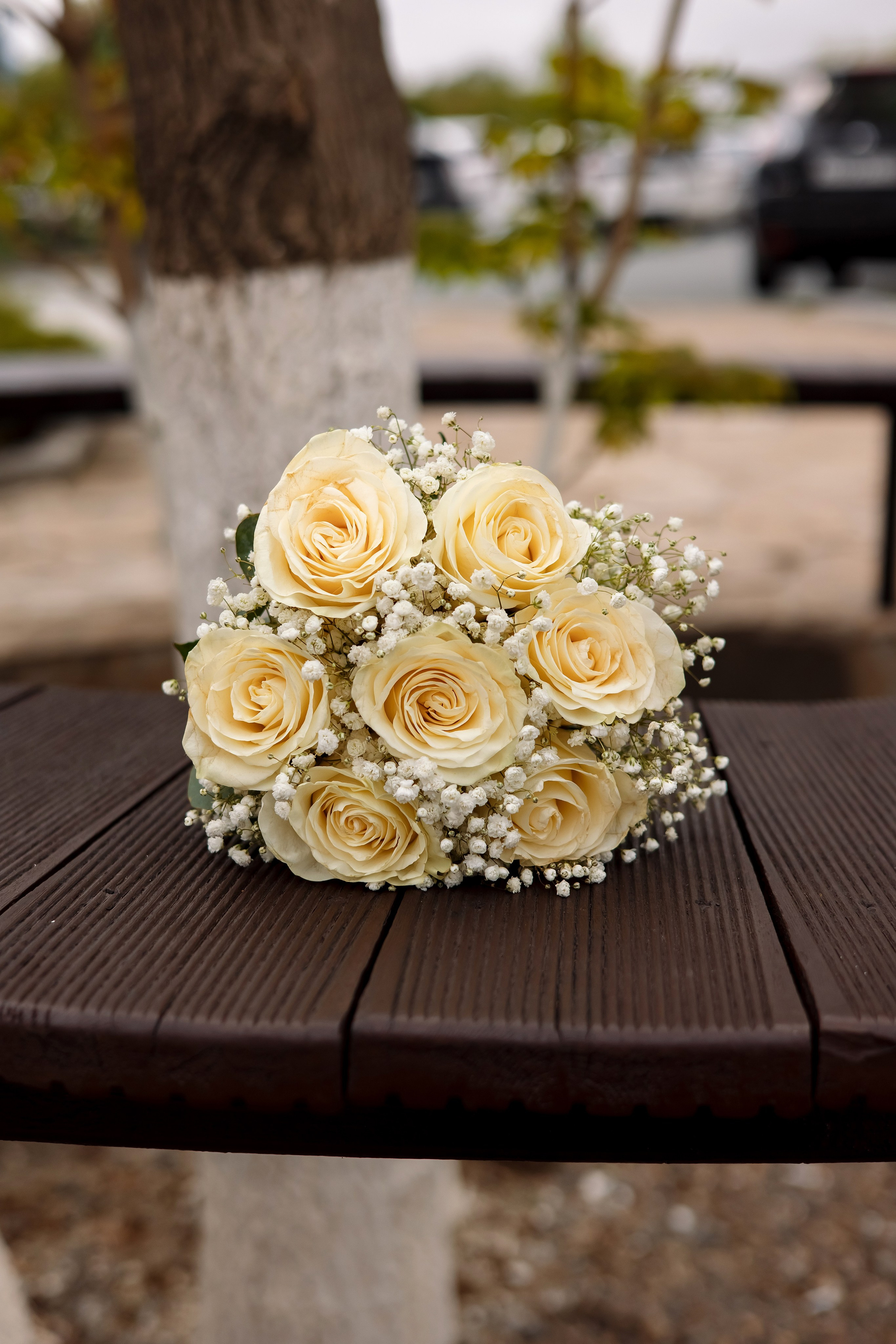 Сергей & Шерилоу. Фотограф Любовь Корниенко, Примоский край