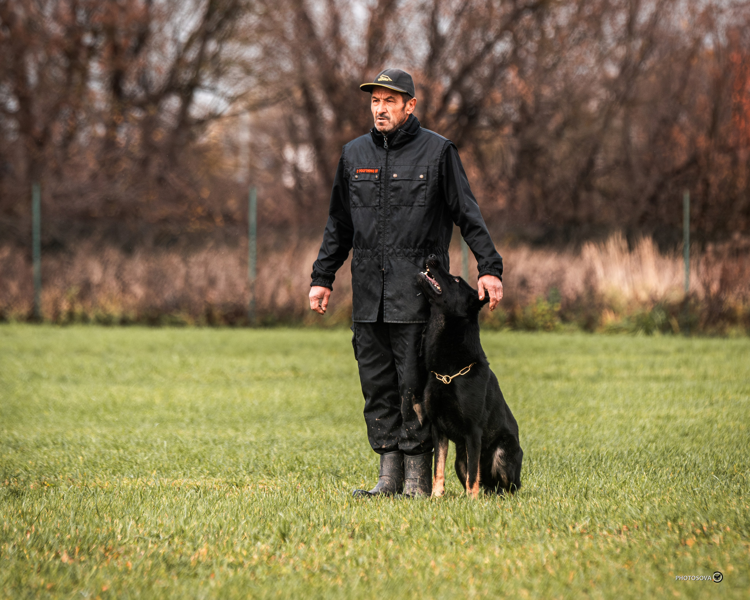 МЫ — КОМАНДА (соревнования) OKD, BH, IBGH, IGP. Фотограф-анималист, семейный фотограф в Москве и Подмосковье. Фотосъёмка кинологических дисциплин