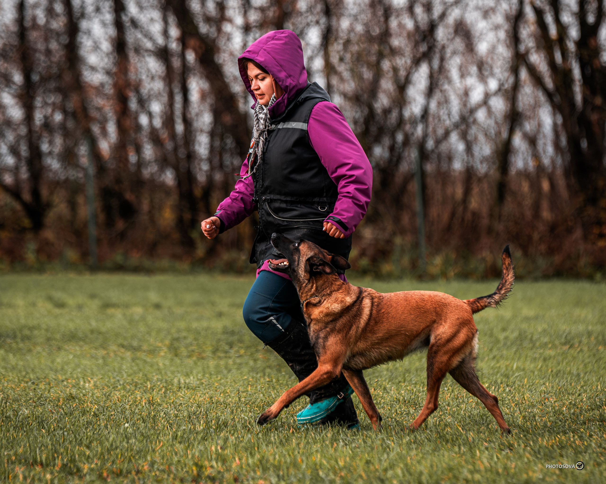 МЫ — КОМАНДА (соревнования) OKD, BH, IBGH, IGP. Фотограф-анималист, семейный фотограф в Москве и Подмосковье. Фотосъёмка кинологических дисциплин