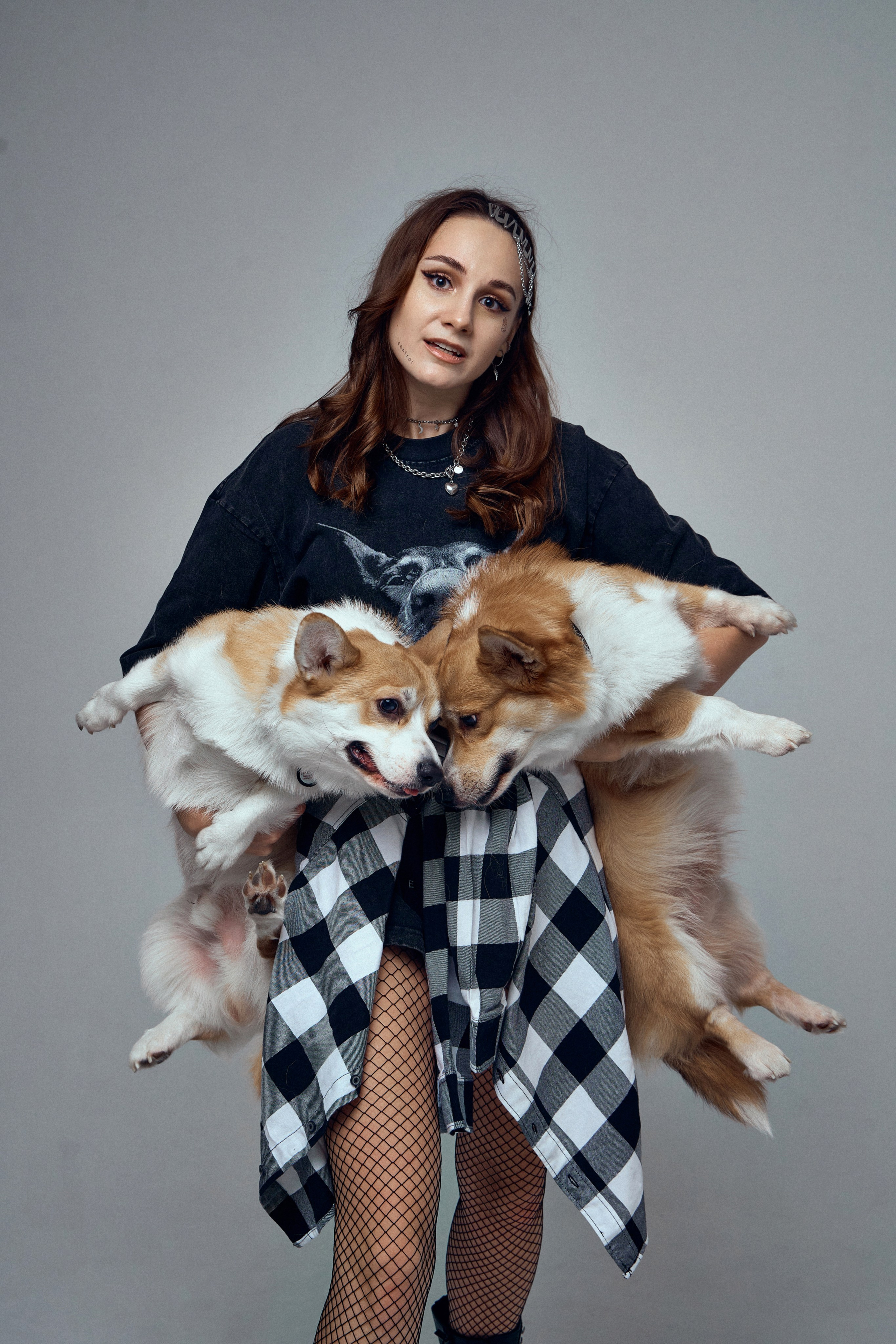 КОРГИ. Фотограф Санкт-Петербург