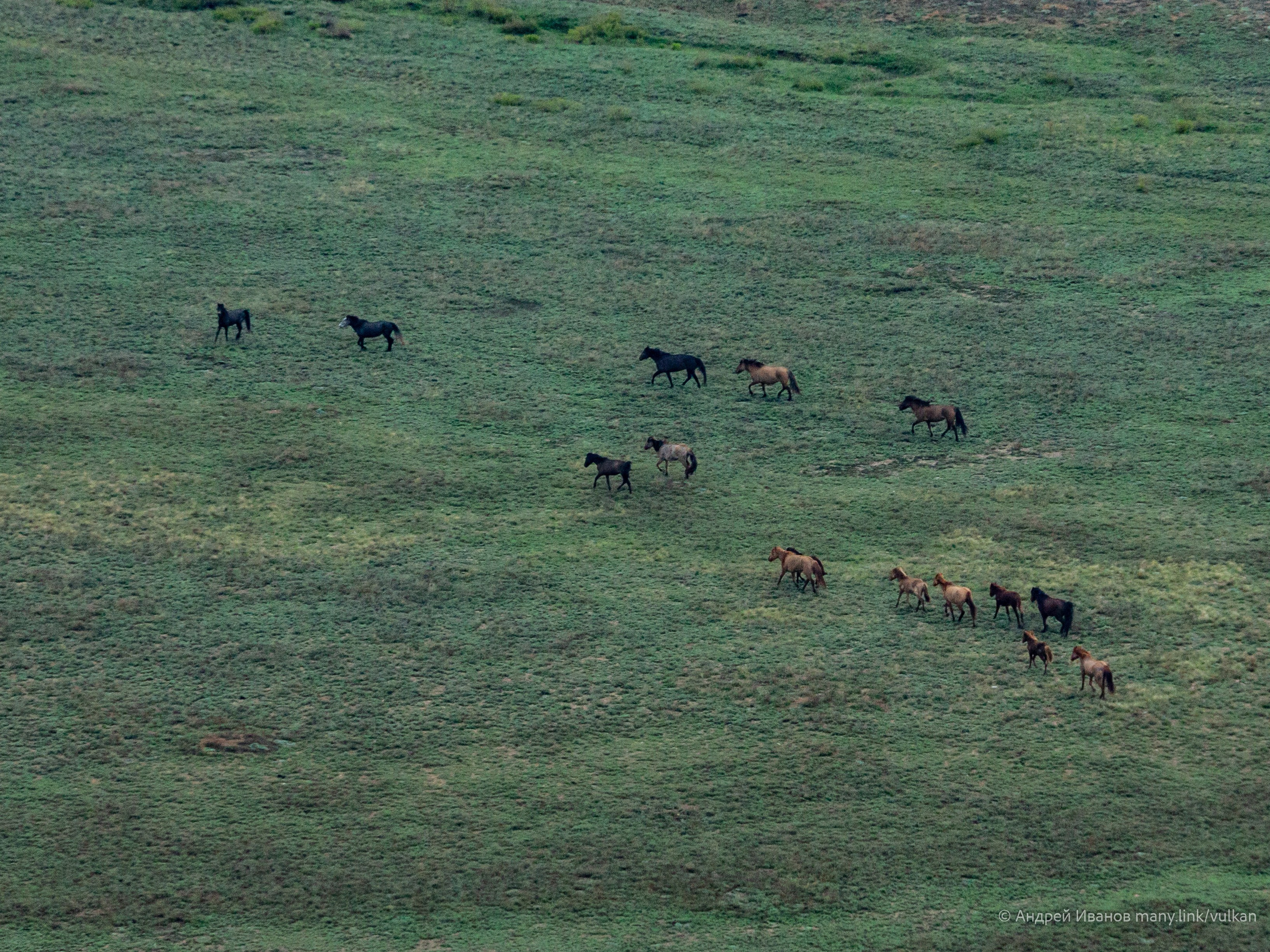 Перелёт на Байконур в 2026 г на самолётах АОН. Фотоальбом показывающий увлекательный мир авиации и мир медведей Андрея Иванова