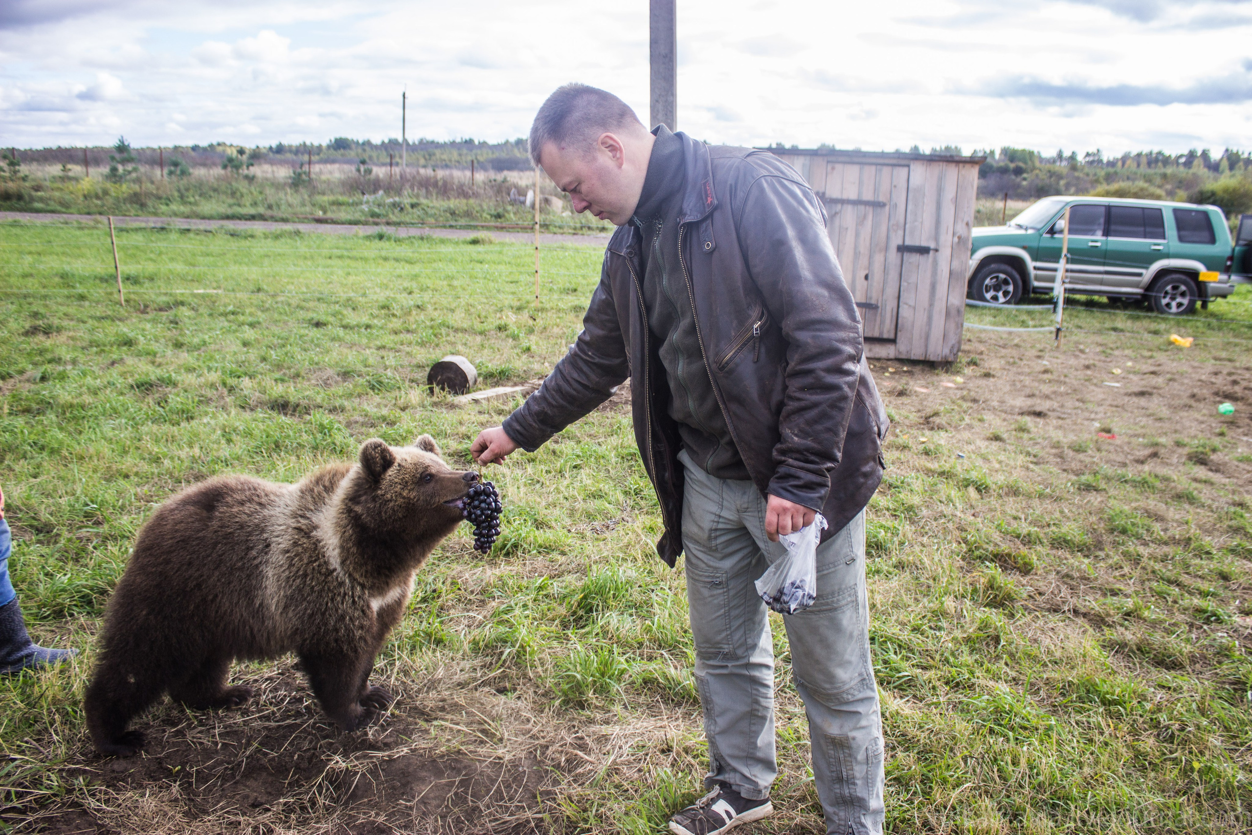 Медведь Мансур. Фотоальбом показывающий увлекательный мир авиации и мир медведей Андрея Иванова