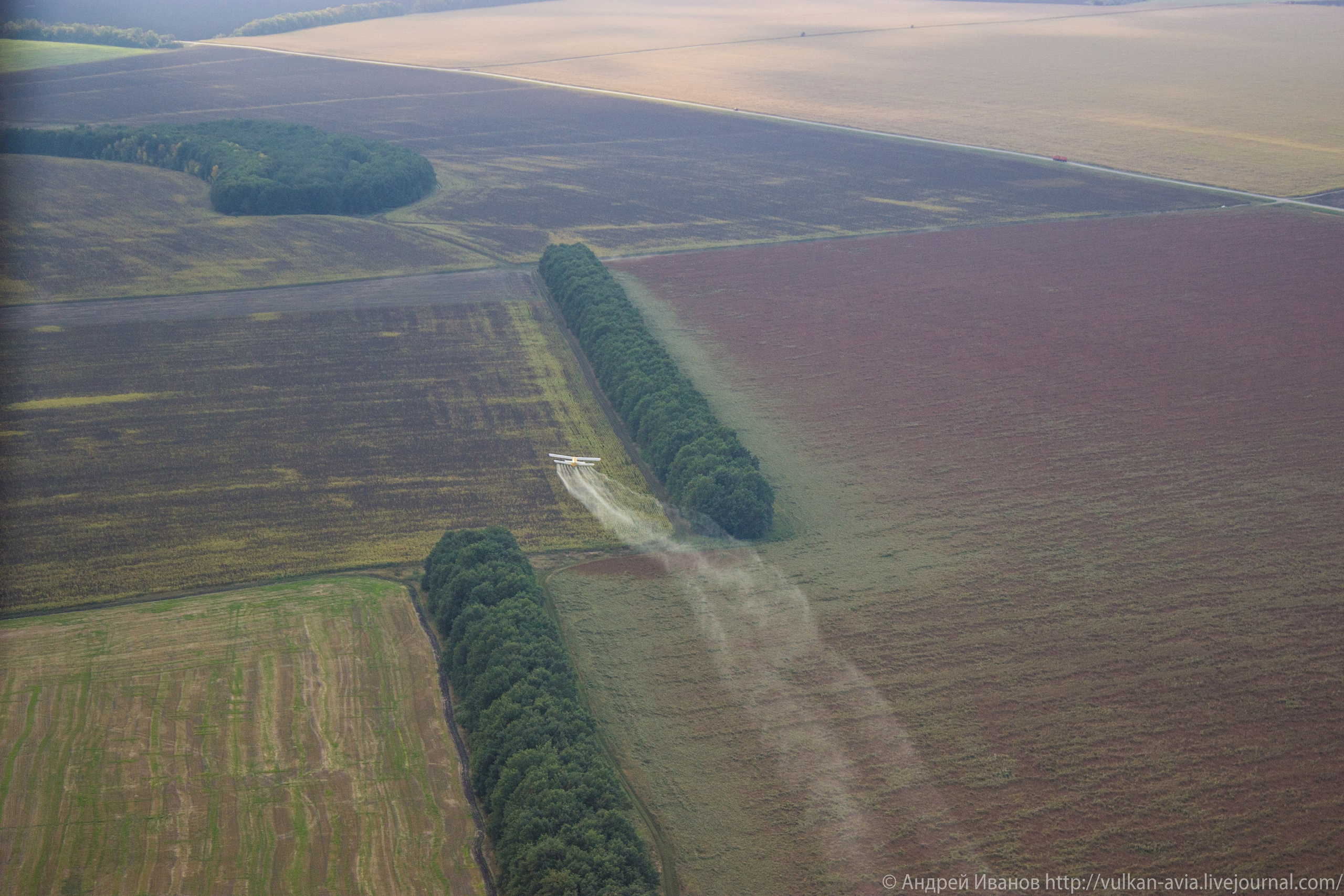 Волгодонск аэр. Потапов слёт «Небо для всех» (2021 г.). Фотоальбом показывающий увлекательный мир авиации и мир медведей Андрея Иванова