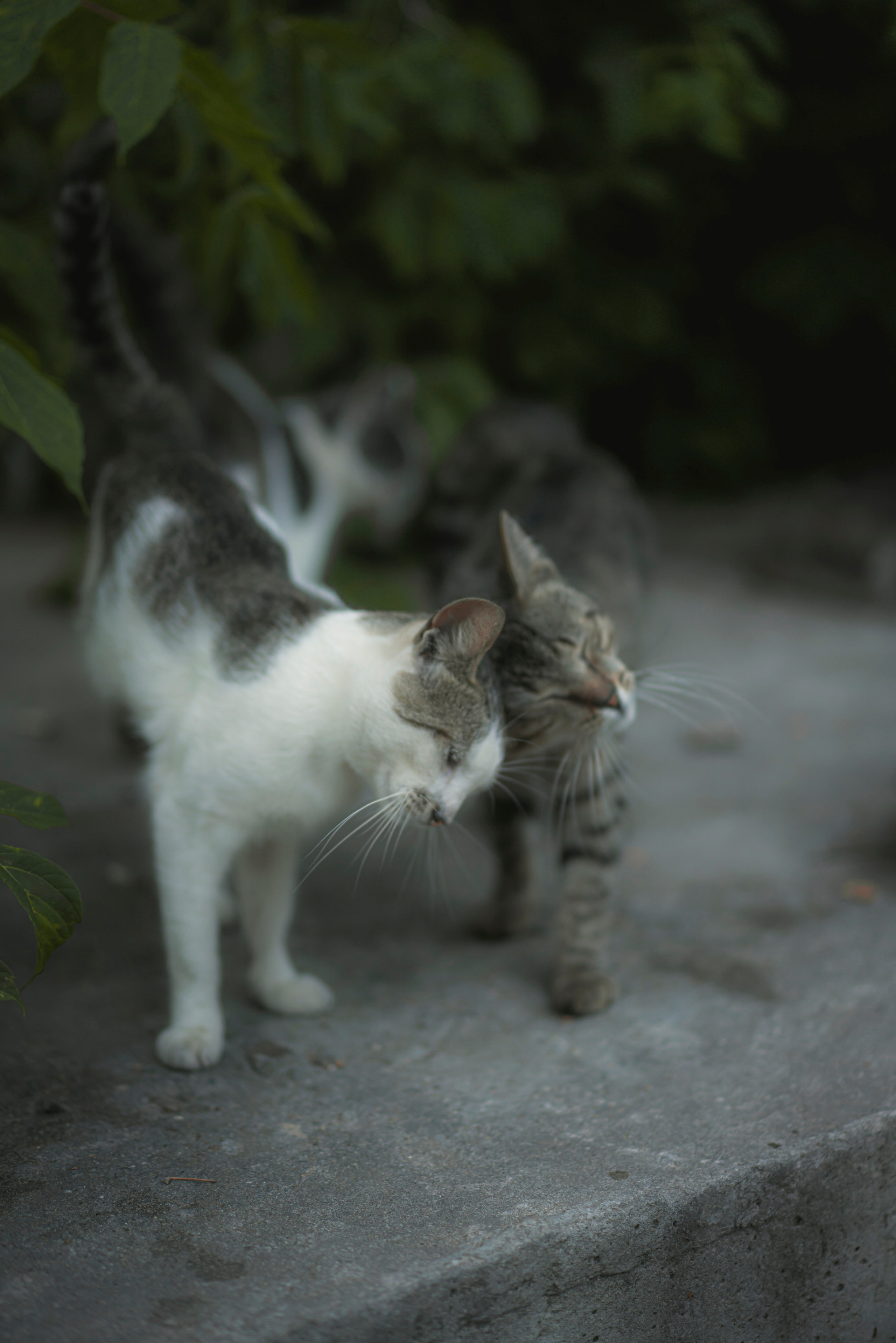 Фото из курсовой и не только
