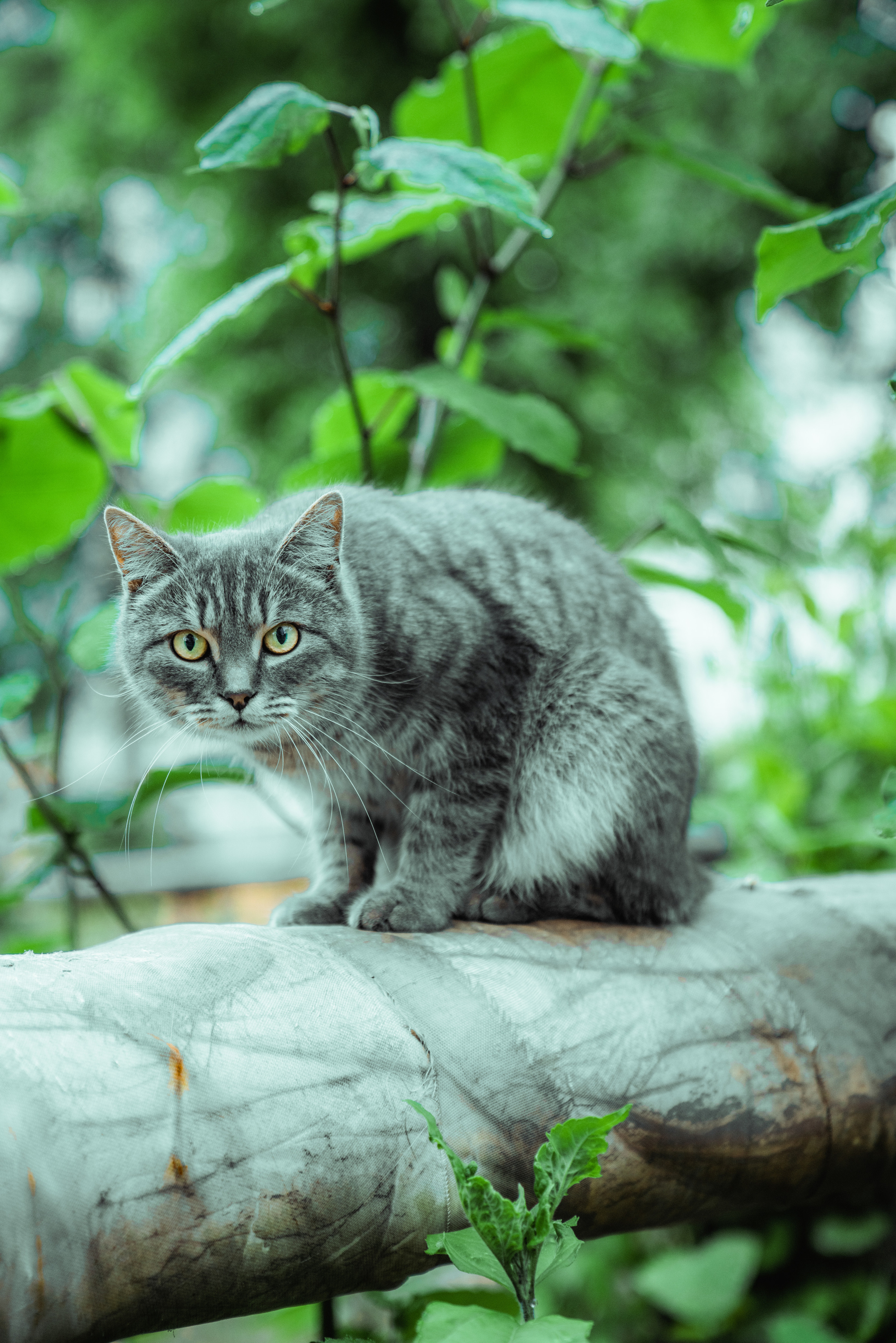 Фото из курсовой и не только