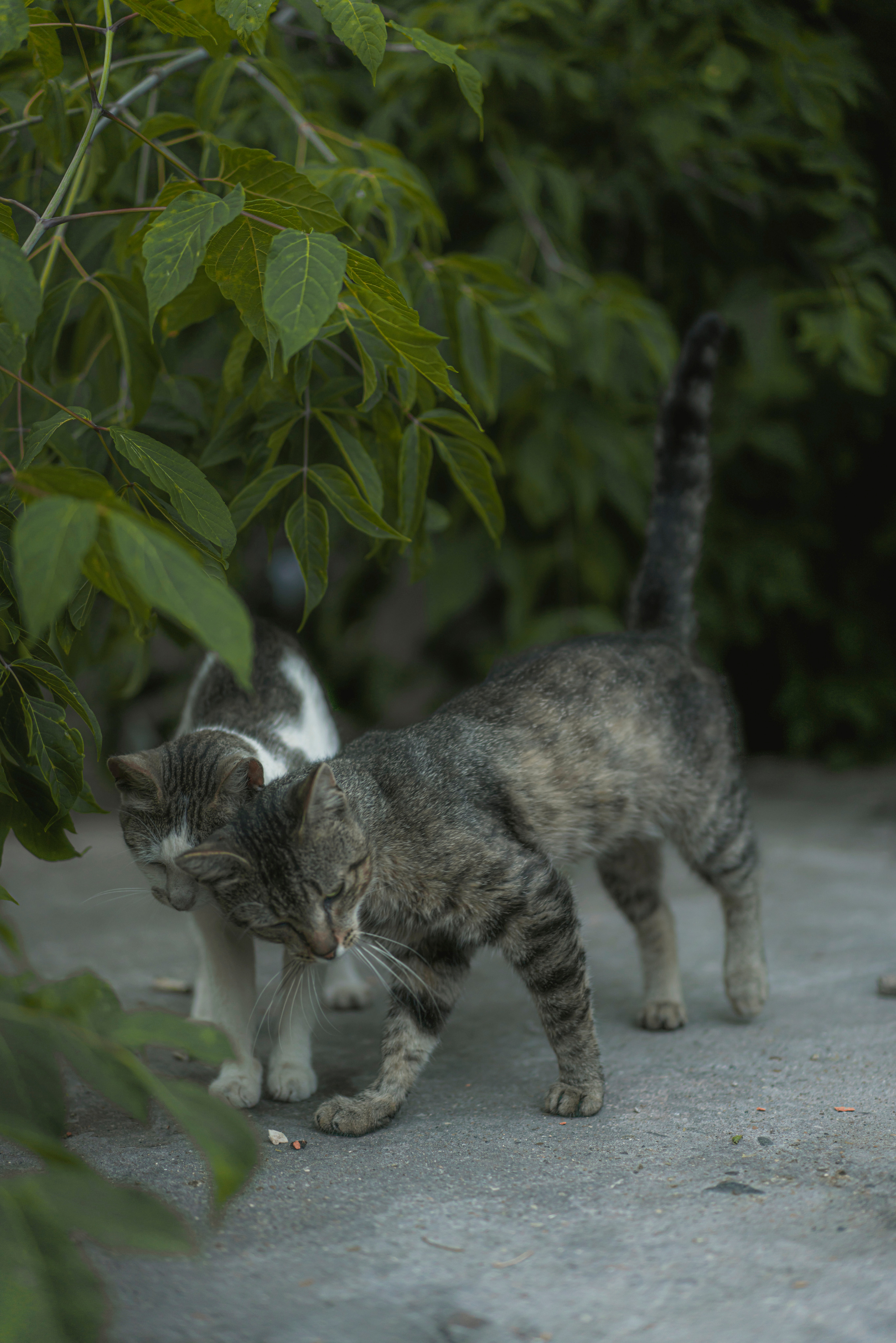 Фото из курсовой и не только