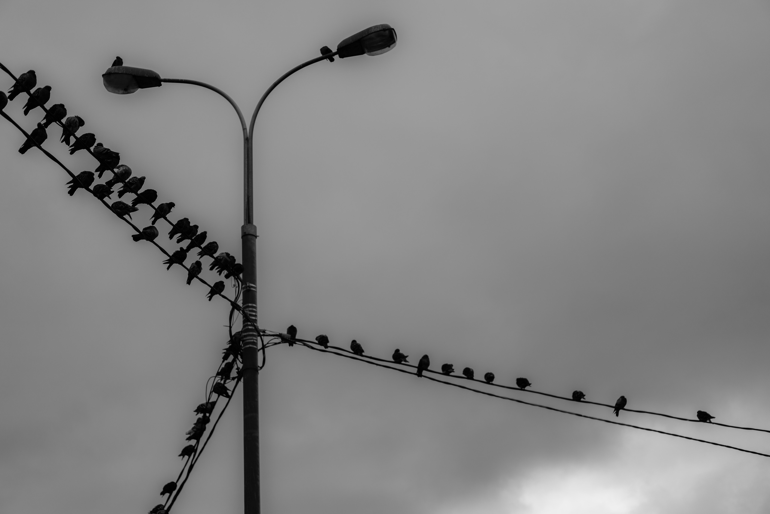 Фото из курсовой и не только