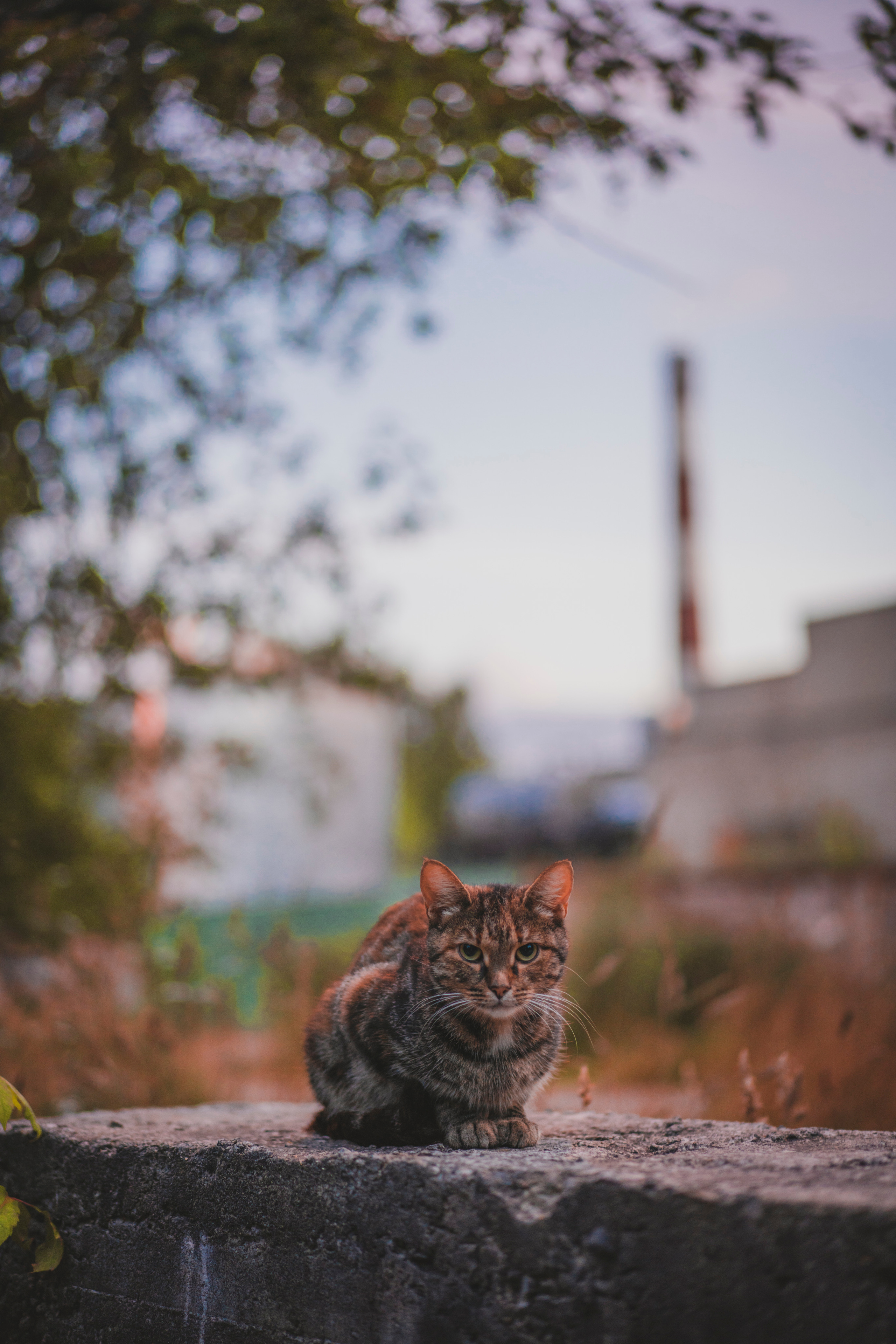 Фото из курсовой и не только