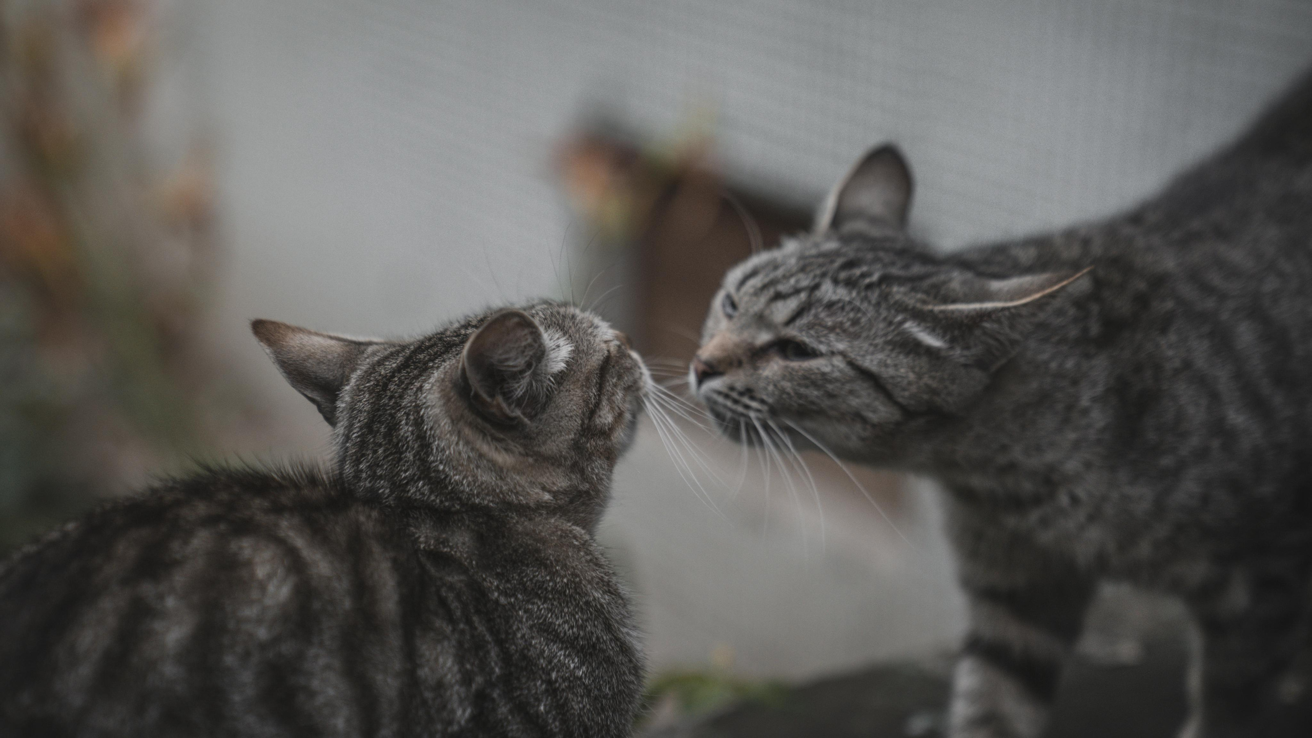 Фото из курсовой и не только