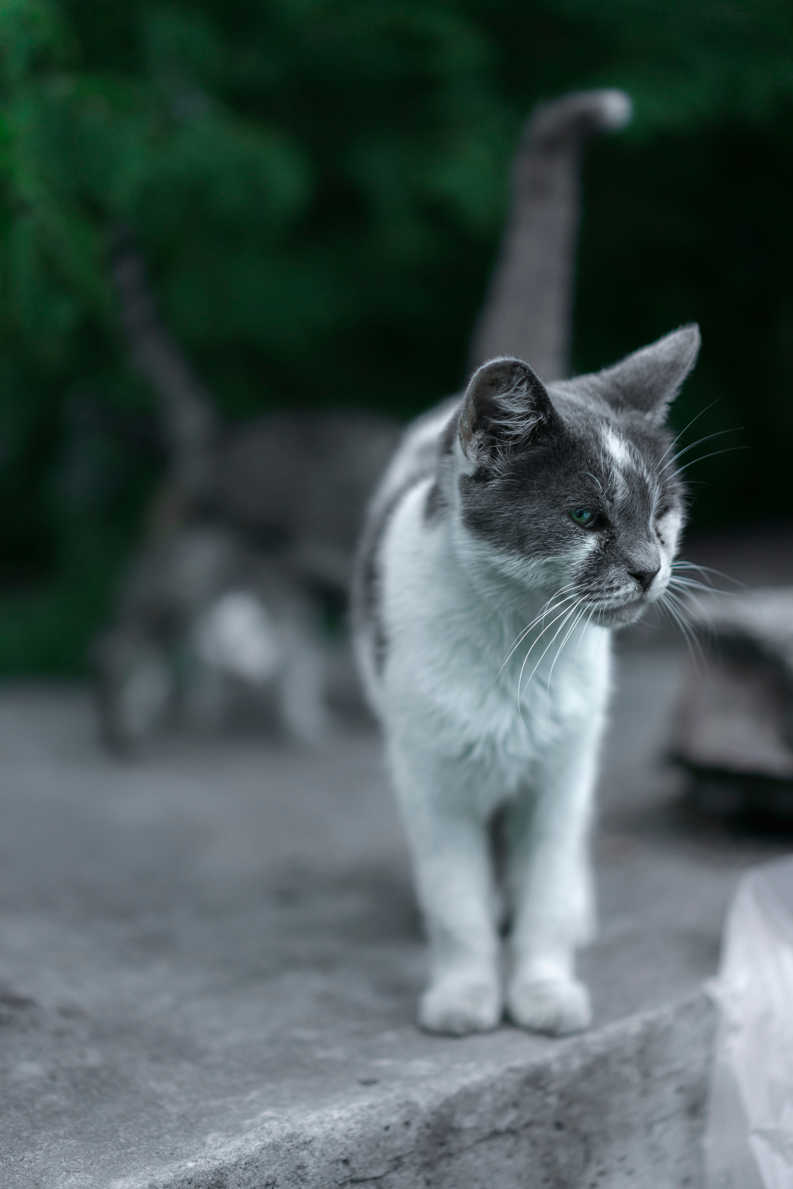 Фото из курсовой и не только