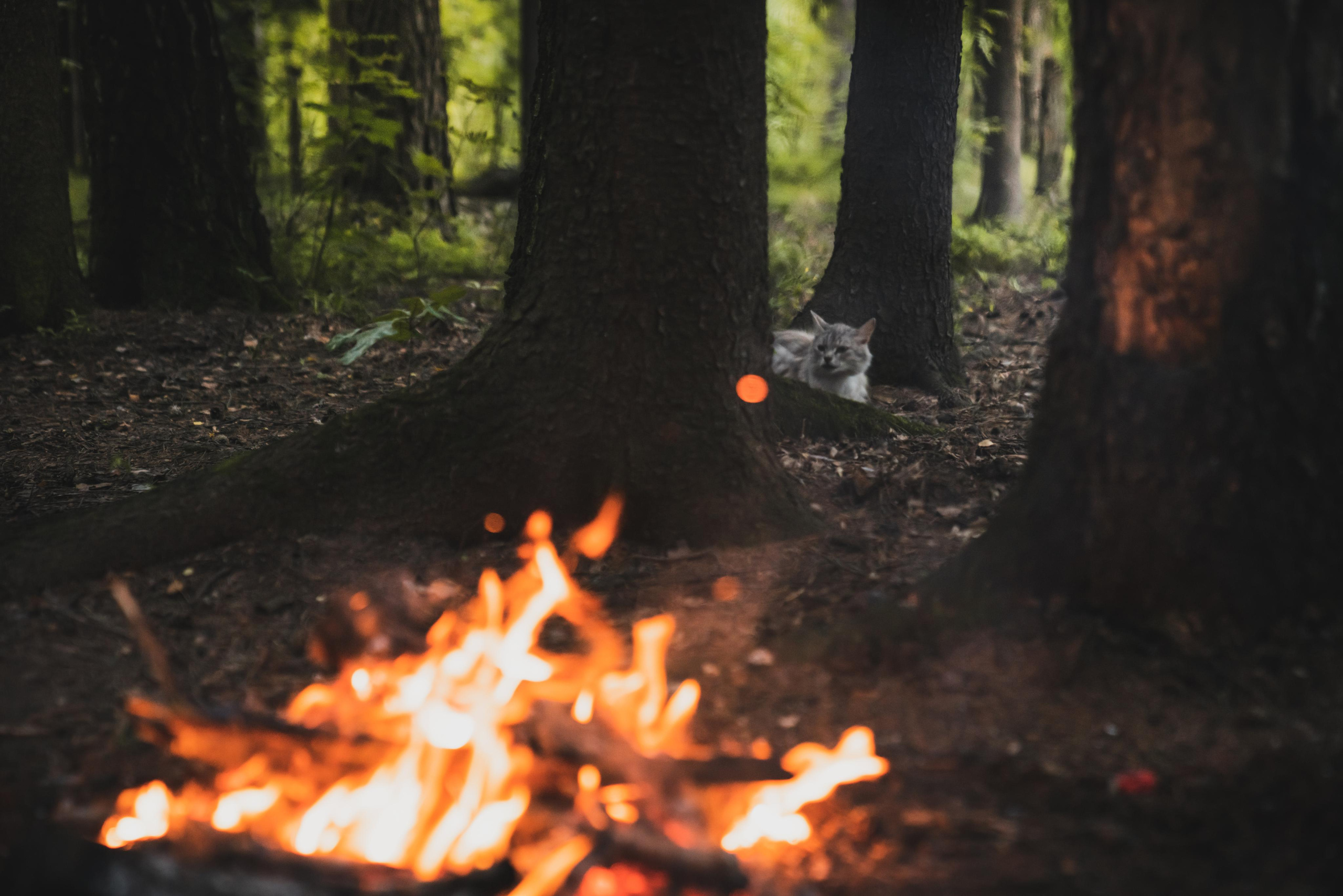 Фото из курсовой и не только