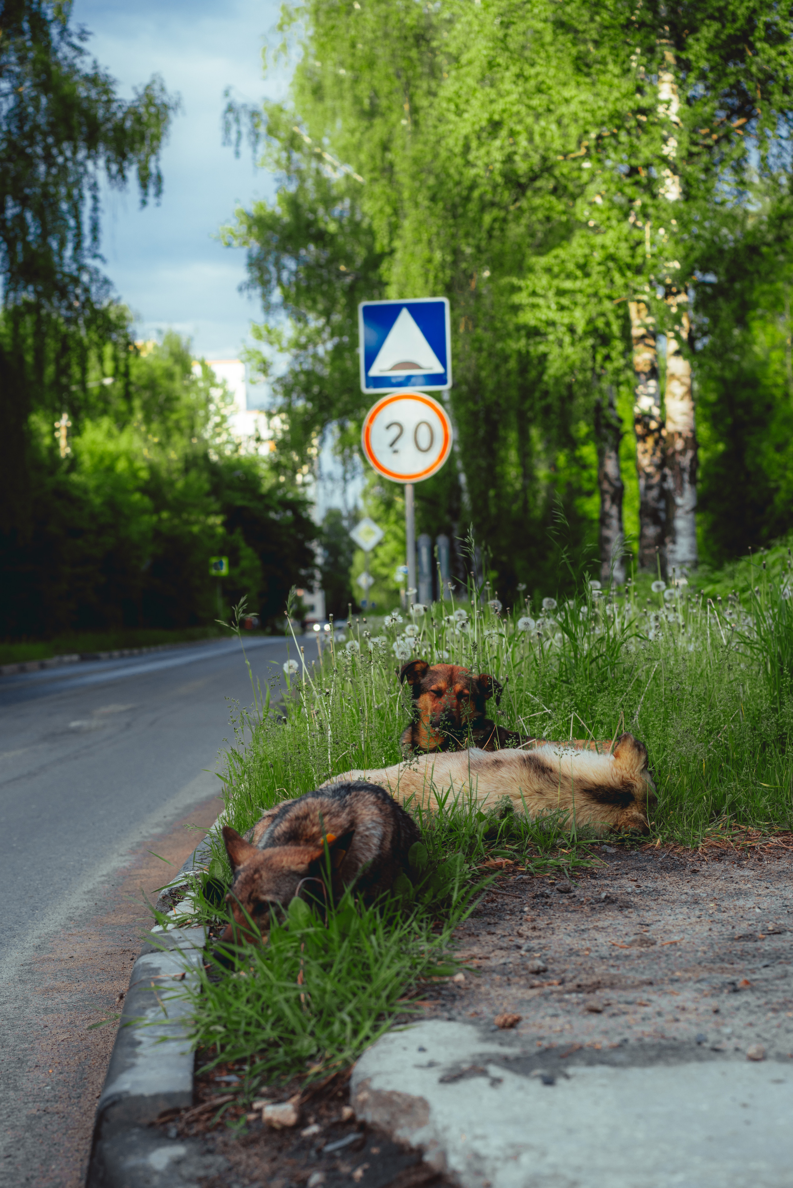 Фото из курсовой и не только
