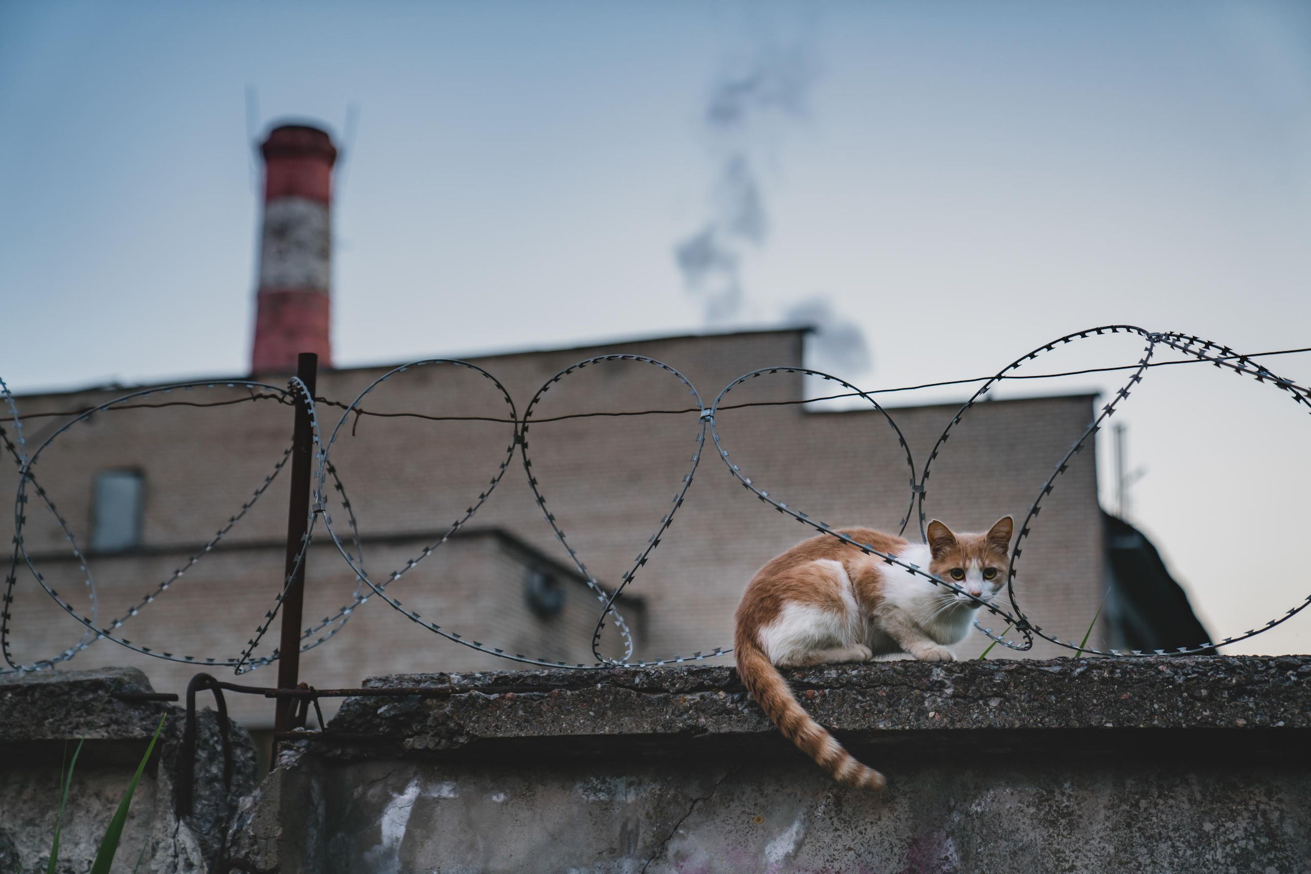 Фото из курсовой и не только