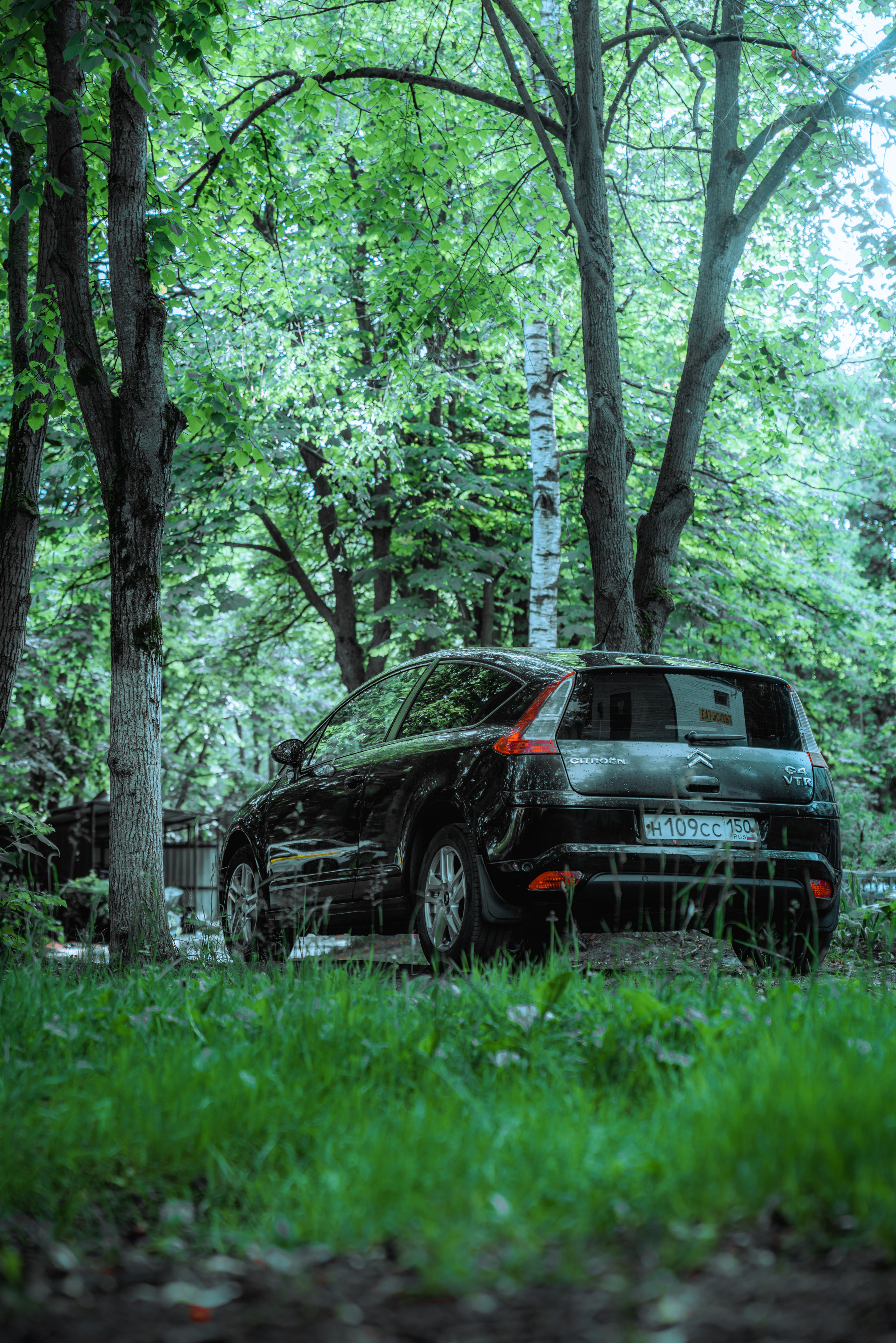 Кар-споттинг