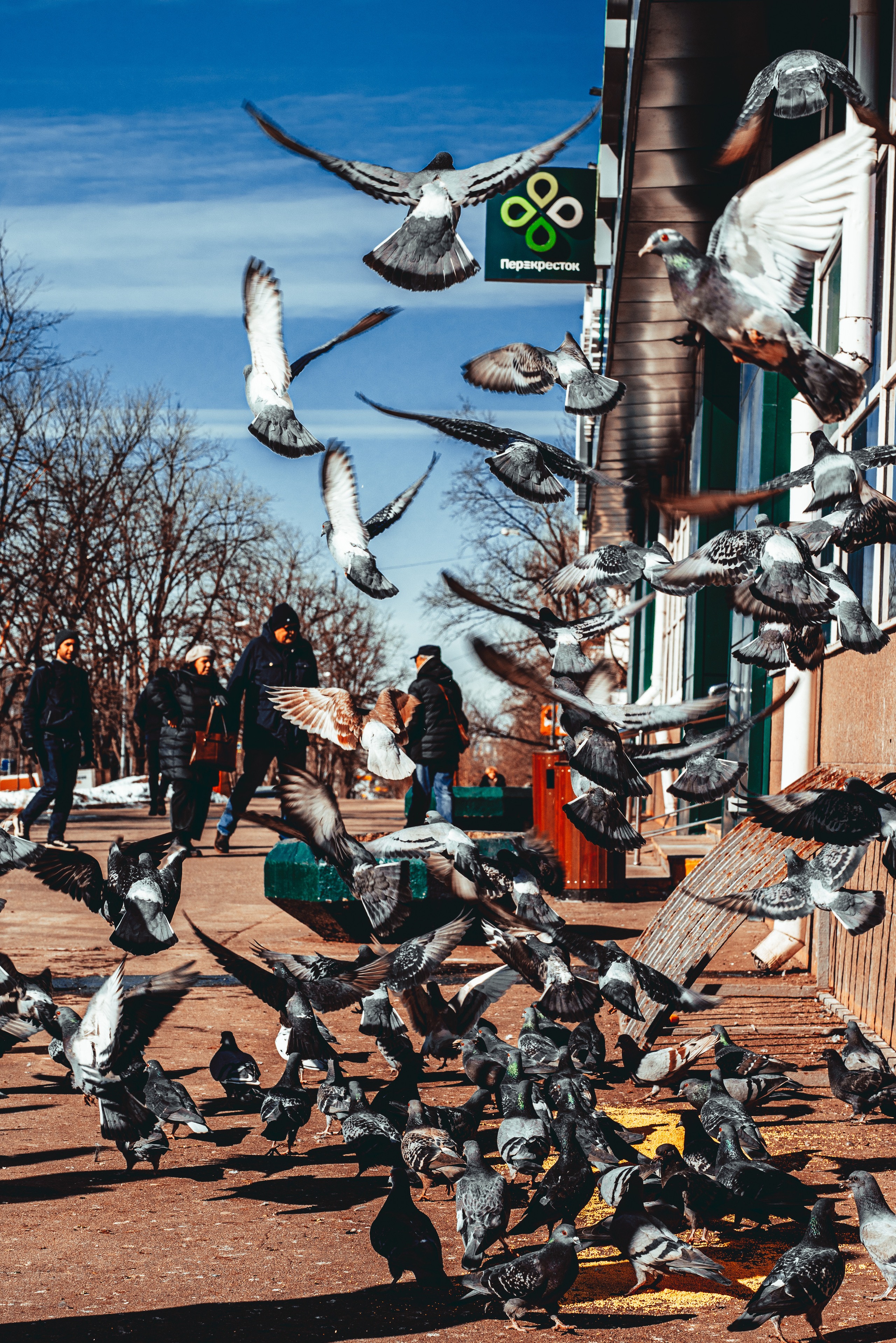 Фото из курсовой и не только