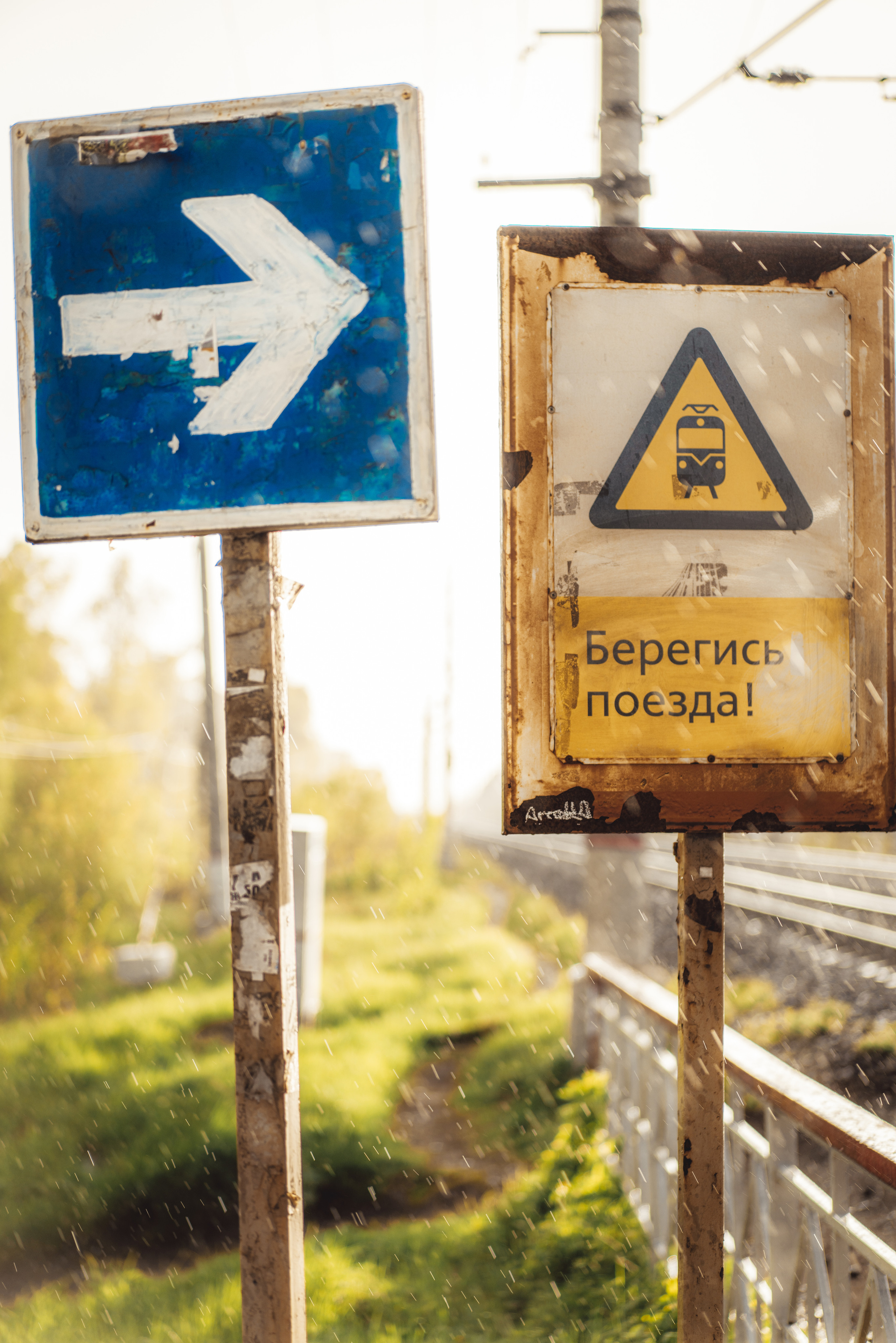 Фото из курсовой и не только