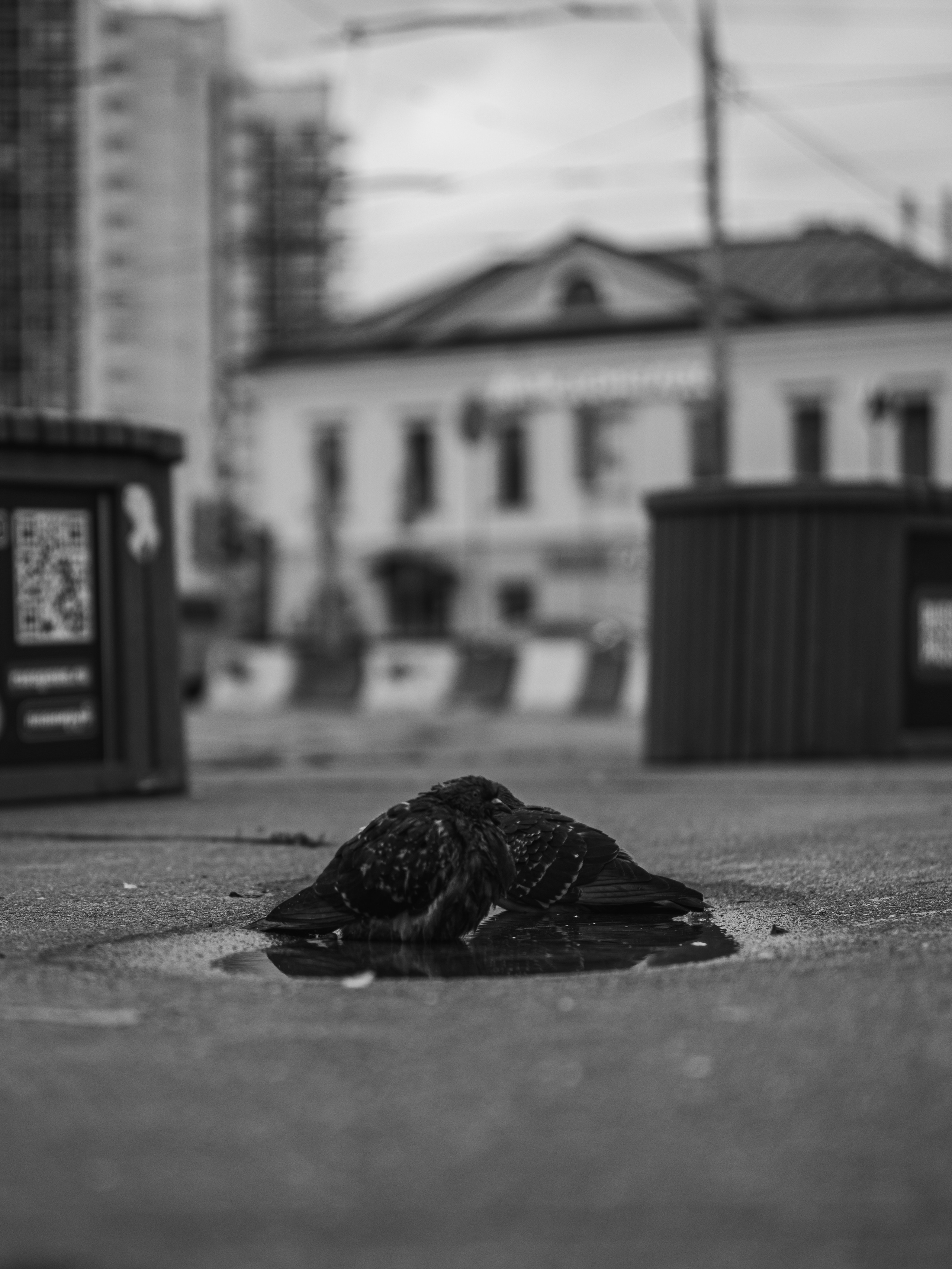 Фото из курсовой и не только