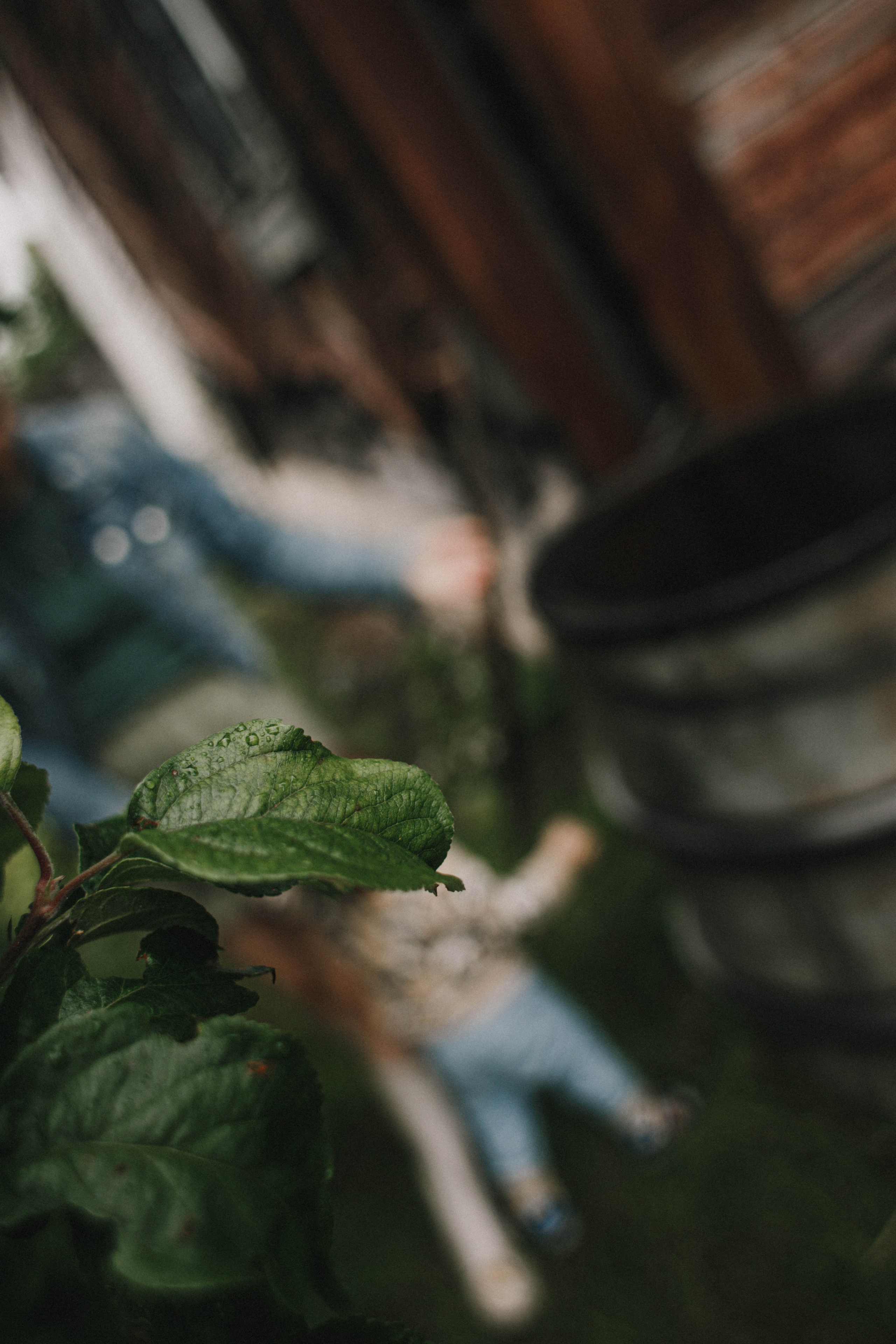 Сева у бабушки. Фотограф в Нижнем Новгороде