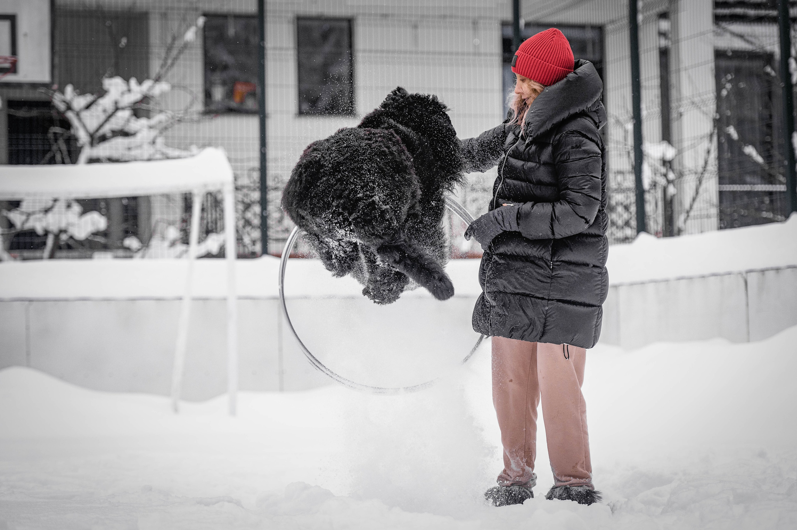 Клео. Фотограф-анималист