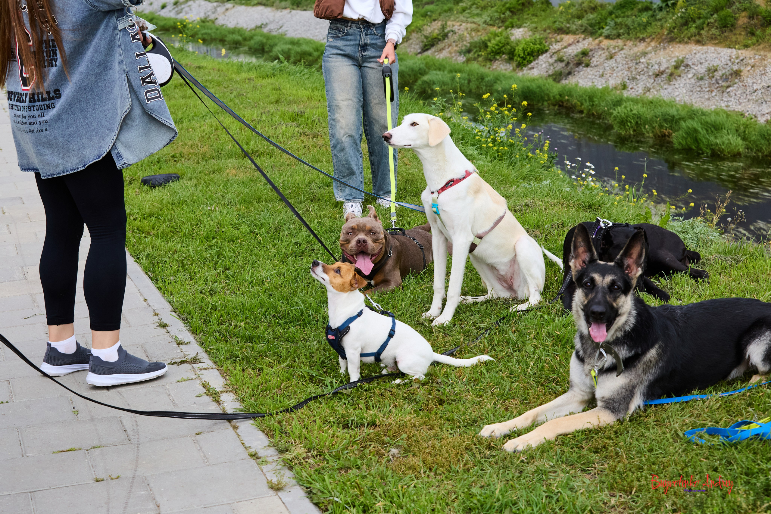 Проект фотопрогулка с хвостиком. Buyvolenko Andrey