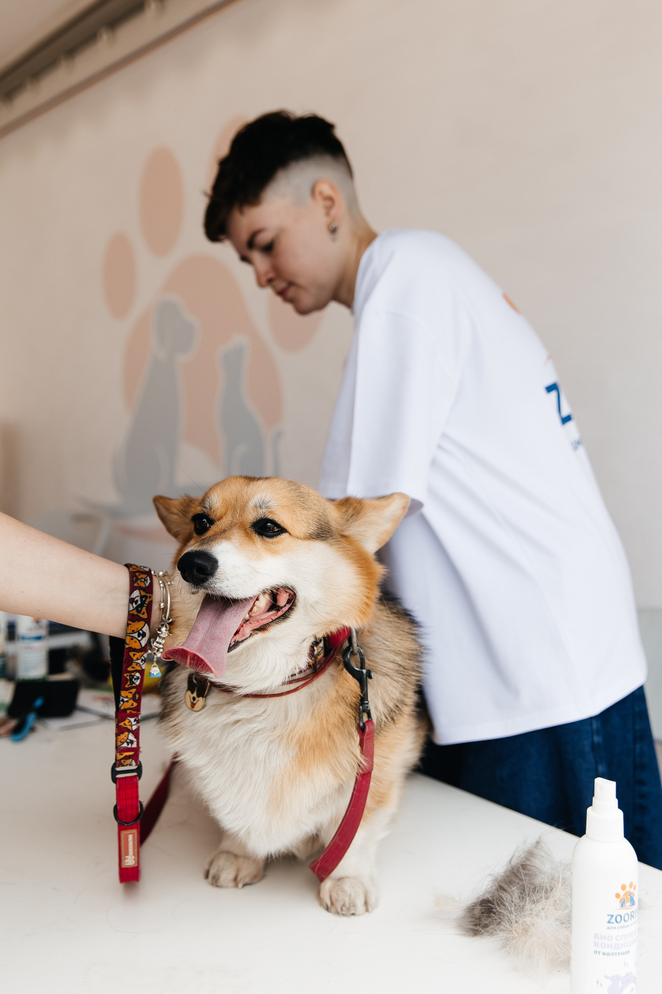 ФЕСТИВАЛЬ VK «ЛАПКИ» | 2025, МОСКВА. Five Media — репортажный фотограф Москва | Мск