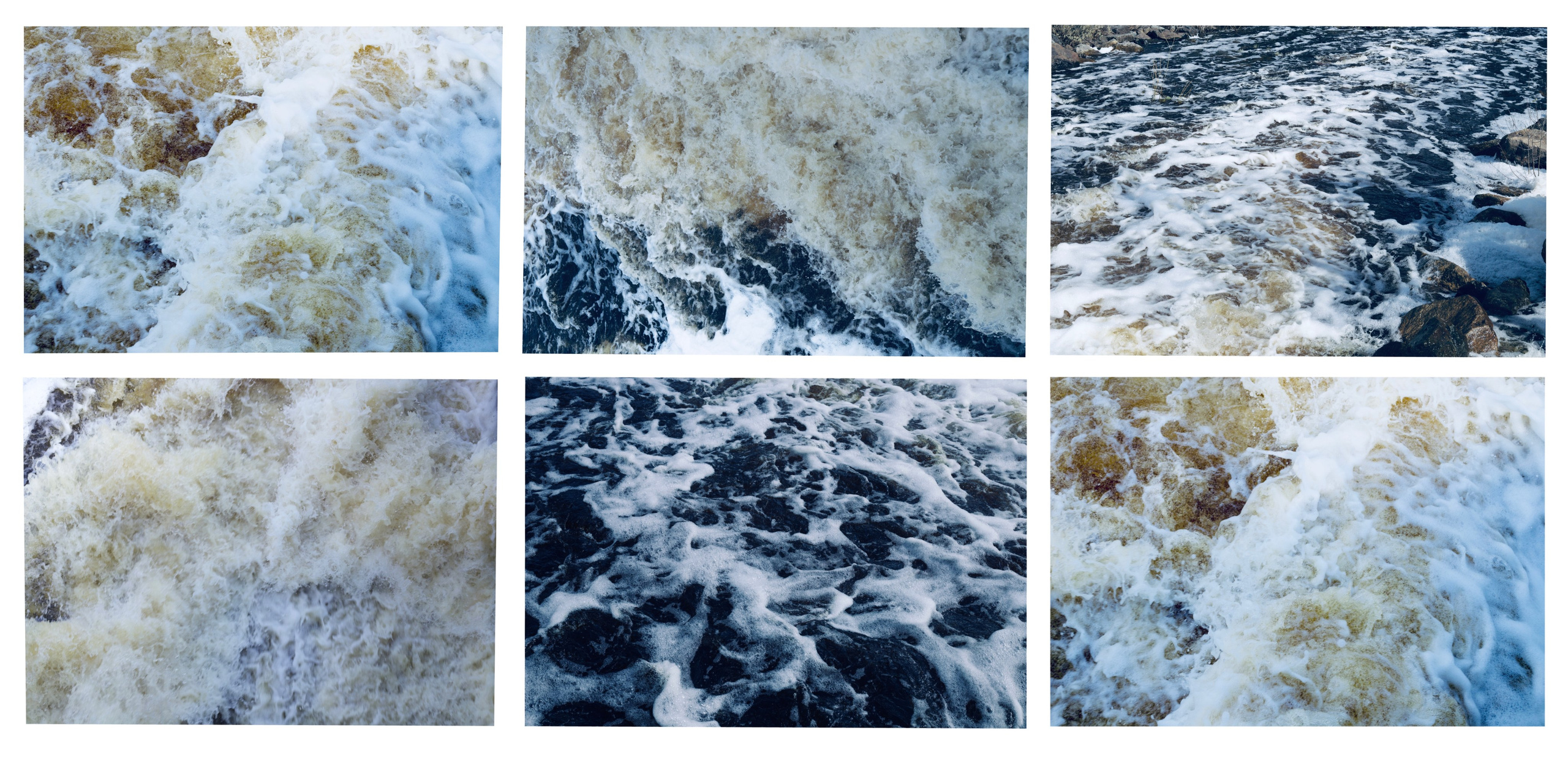 НОЕВ КОВЧЕГ. Художница Екатерина Малышева