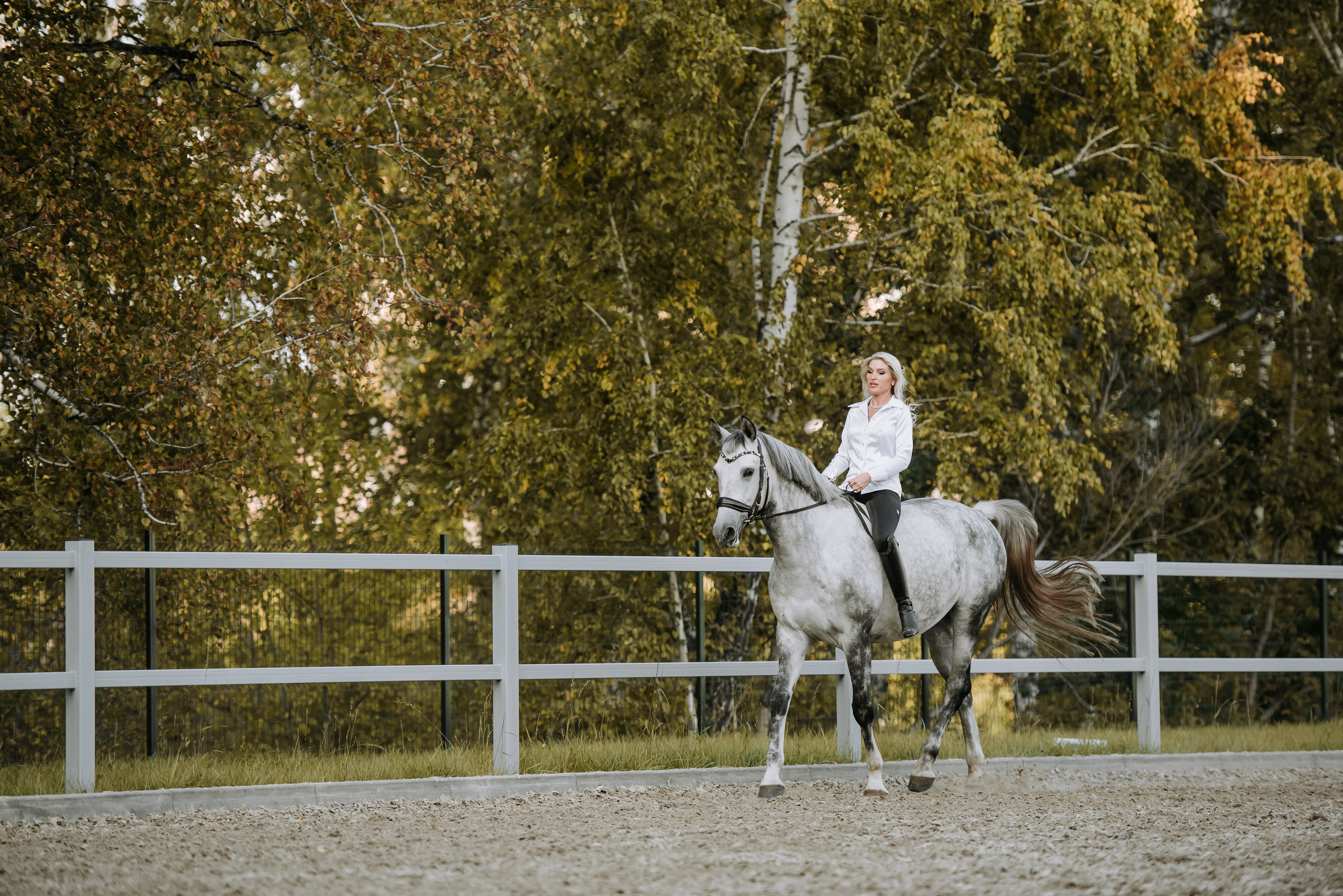 Фотосессия с лошадью Красноярск. Фотограф Диана Оленина Красноярск / Братск