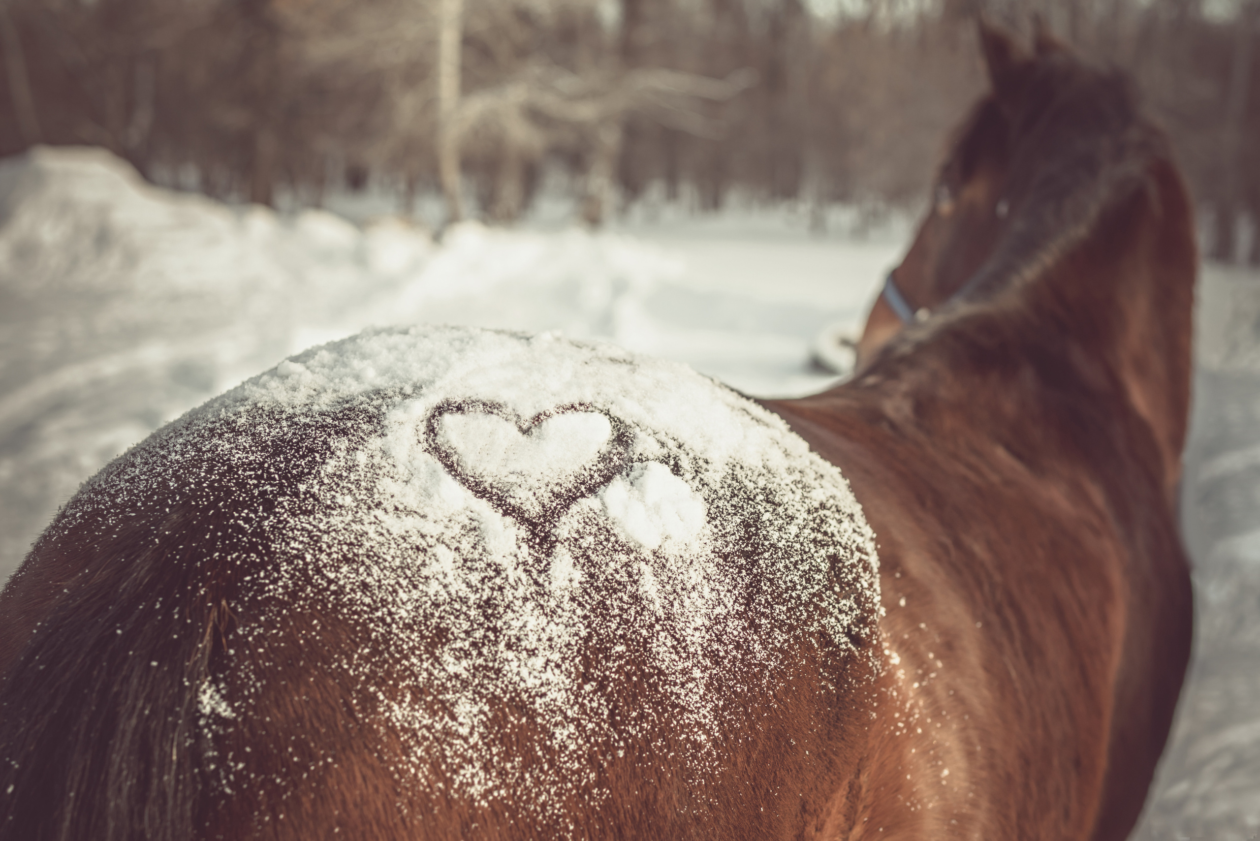 Оля и Красавчик. Церковный фотограф на Таинство Крещения и Венчания в Оренбурге и Оренбургской области Екатерина Белкина