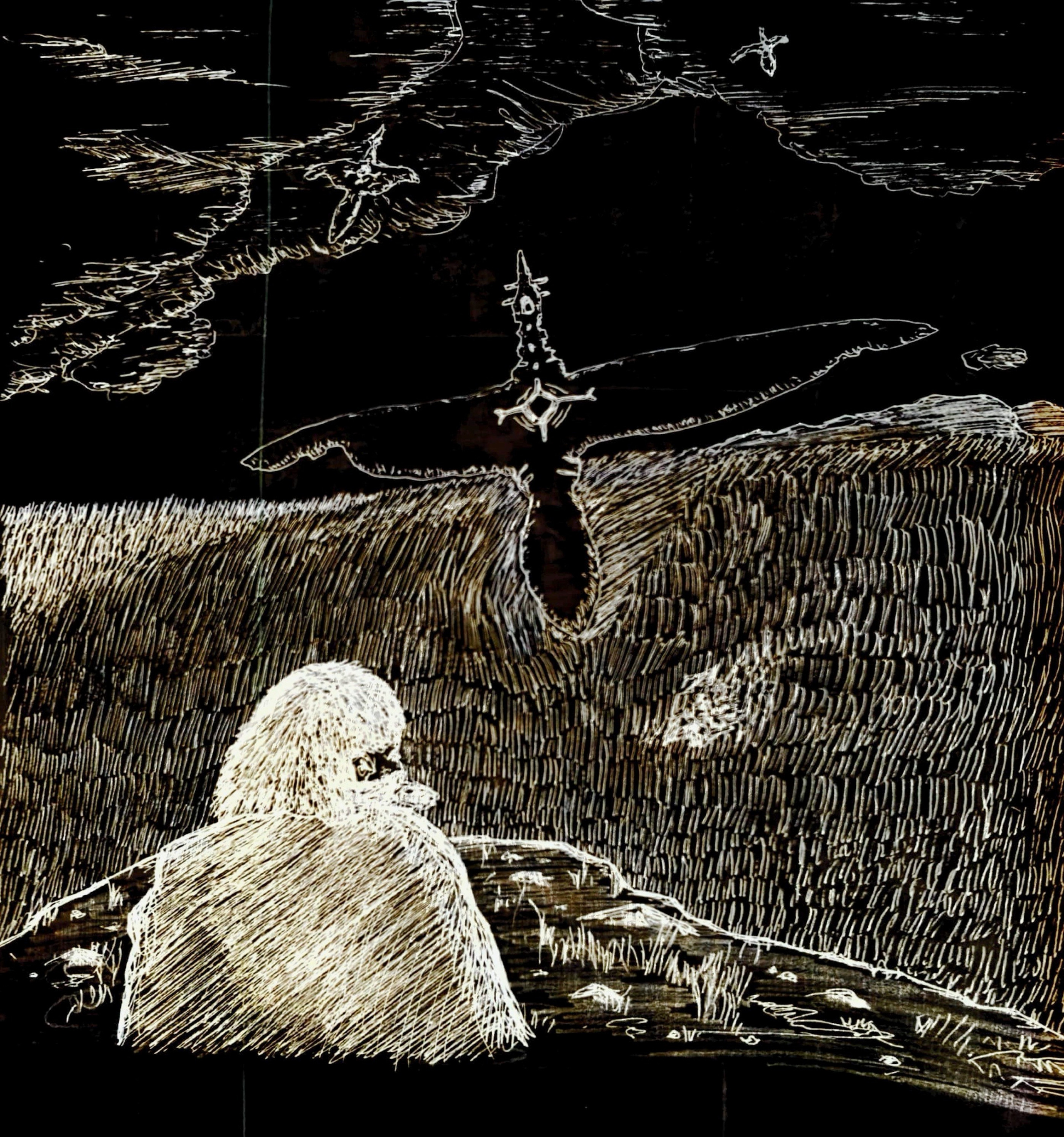 Storyboards & concepts