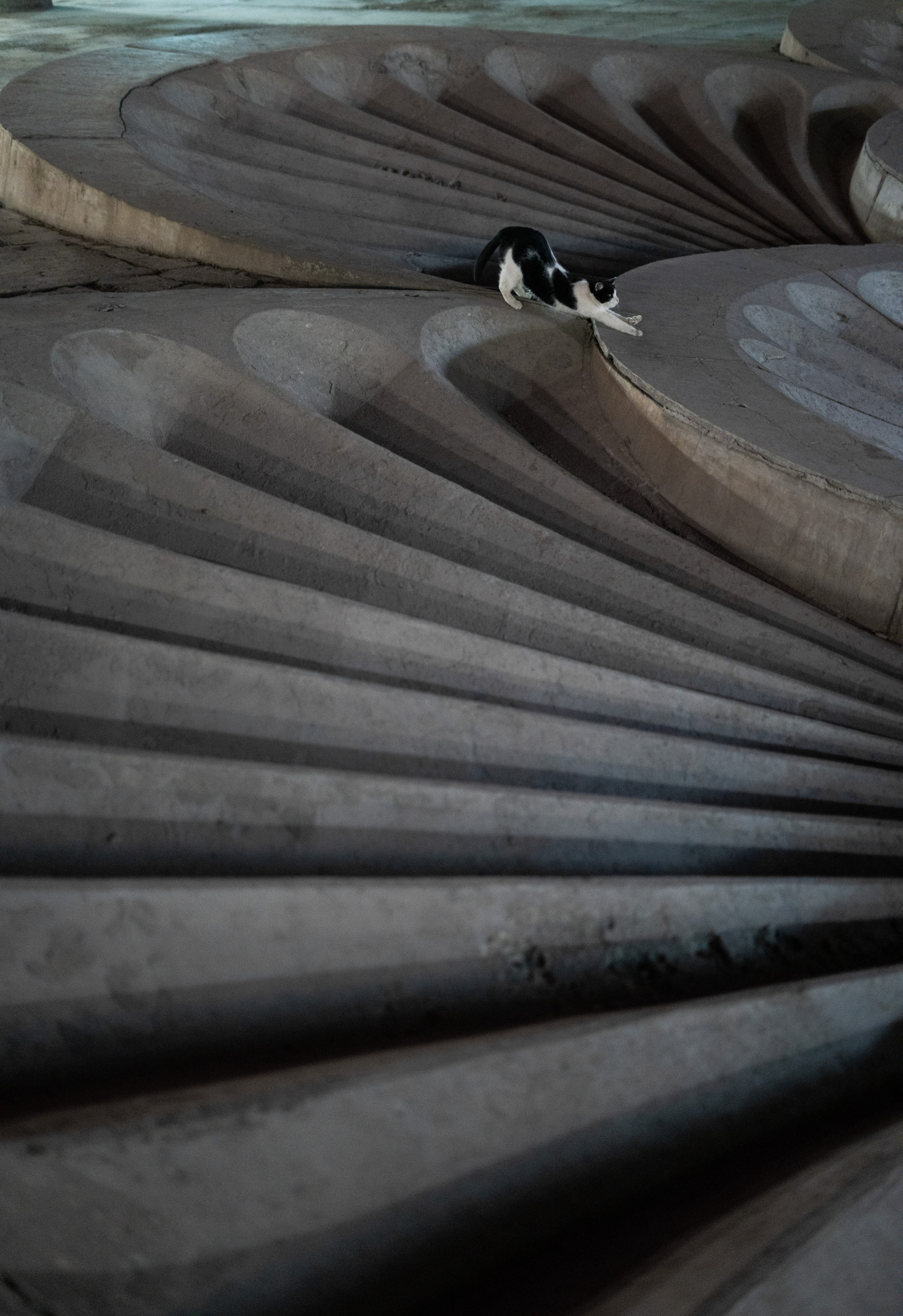 Фотограф Павел Шальнев