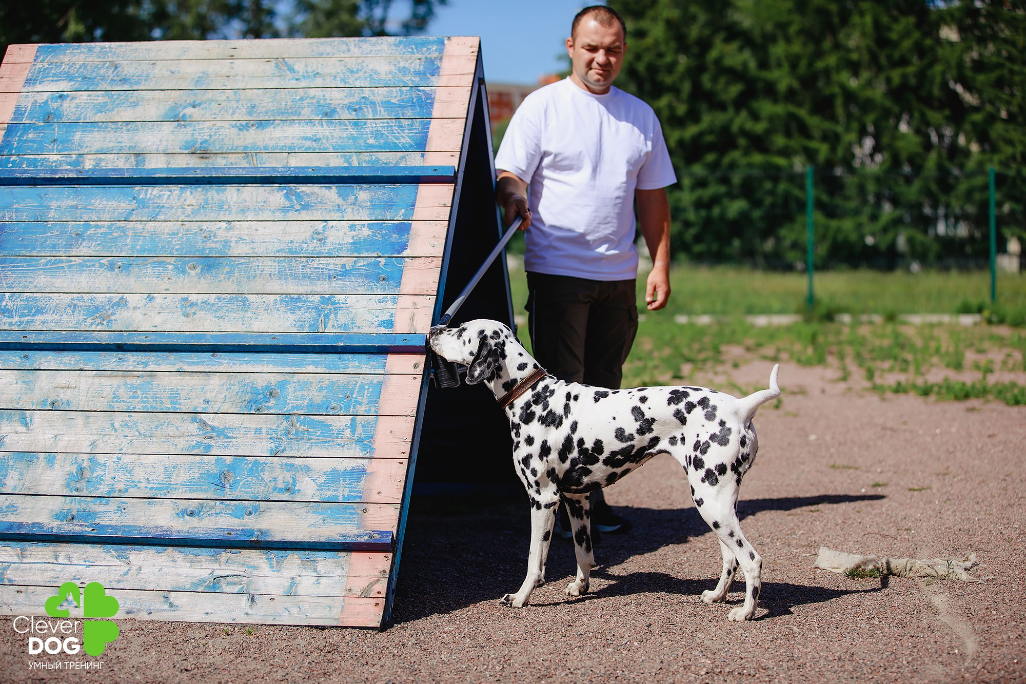 Семинар по поиску запаха с Иваном Ломовым, организатор CleverDog, СПб. Фотограф-анималист Mary Mart — Москва, Питер