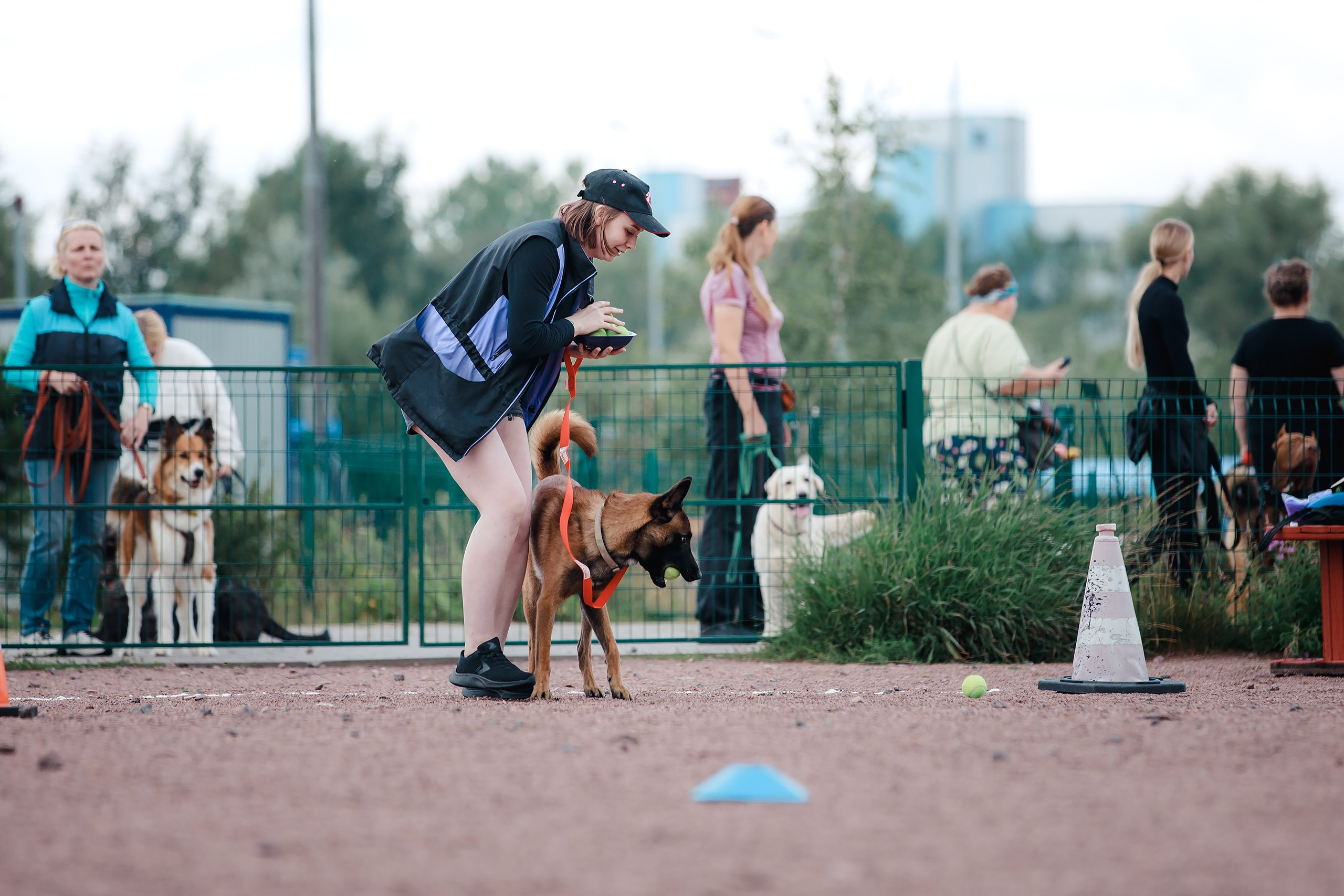 Питч&Гоу + веселые старты. Фотограф-анималист Mary Mart — Москва, Питер