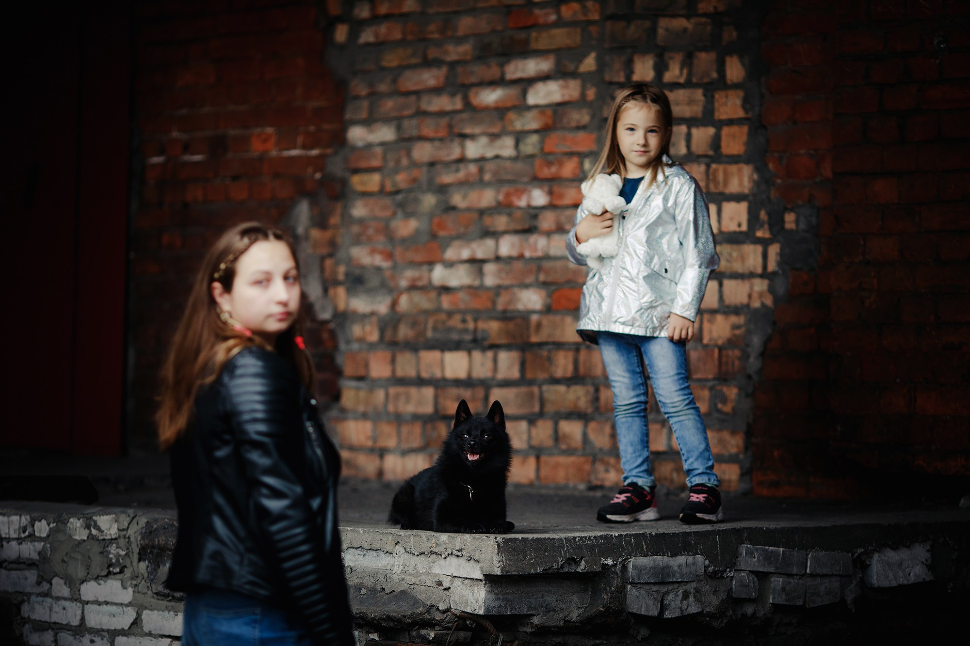 Саша, Маша и шипперке Йети. Фотограф-анималист Mary Mart — Москва, Питер