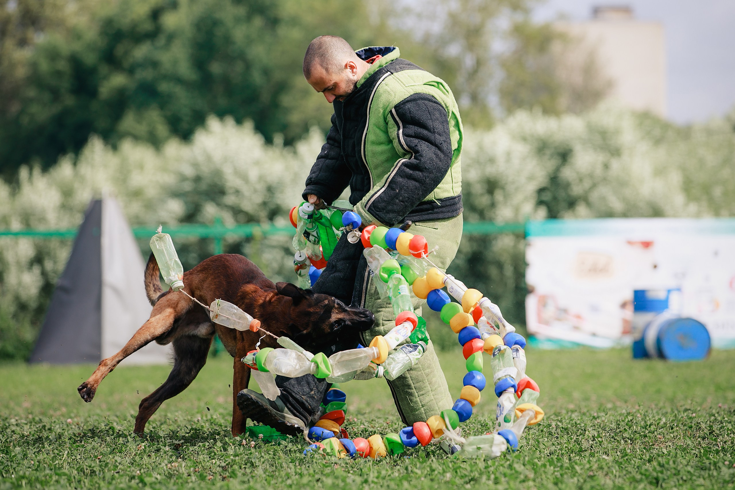 Мондьоринг М1, М2, М3, Вологда. Фотограф-анималист Mary Mart — Москва, Питер