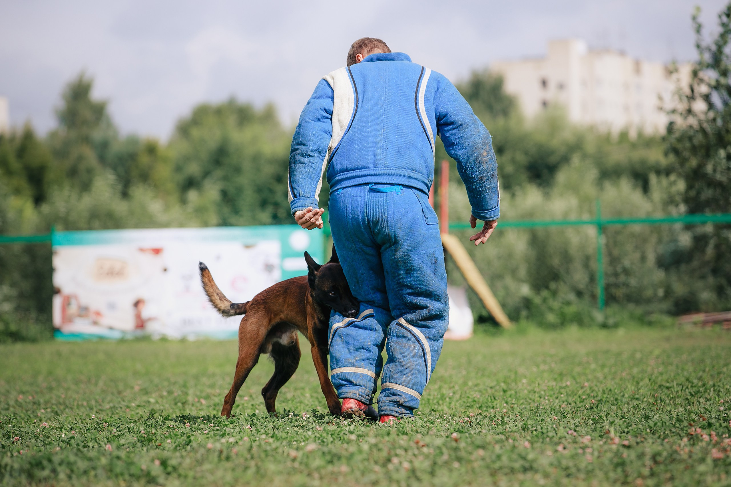 Мондьоринг М1, М2, М3, Вологда. Фотограф-анималист Mary Mart — Москва, Питер