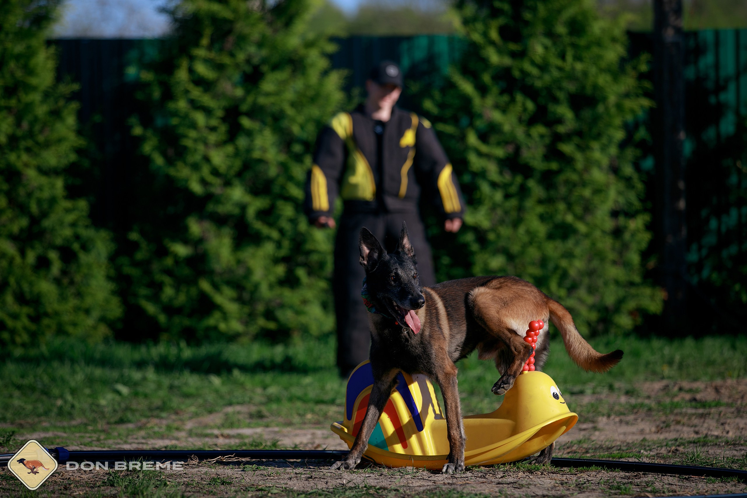 Семинар для фигурантов, день 3. Фотограф-анималист Mary Mart — Москва, Питер