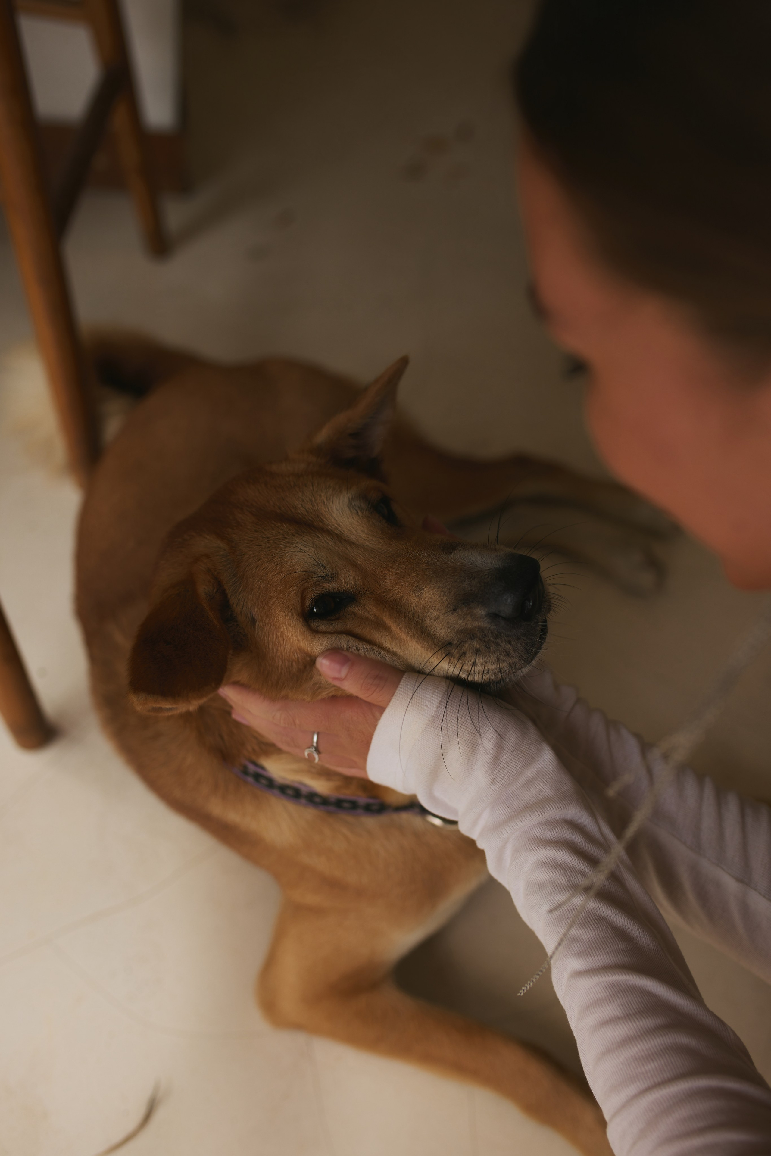 Алёна Part 2 фото. Профессиональный фотограф Татьяна Евглевская