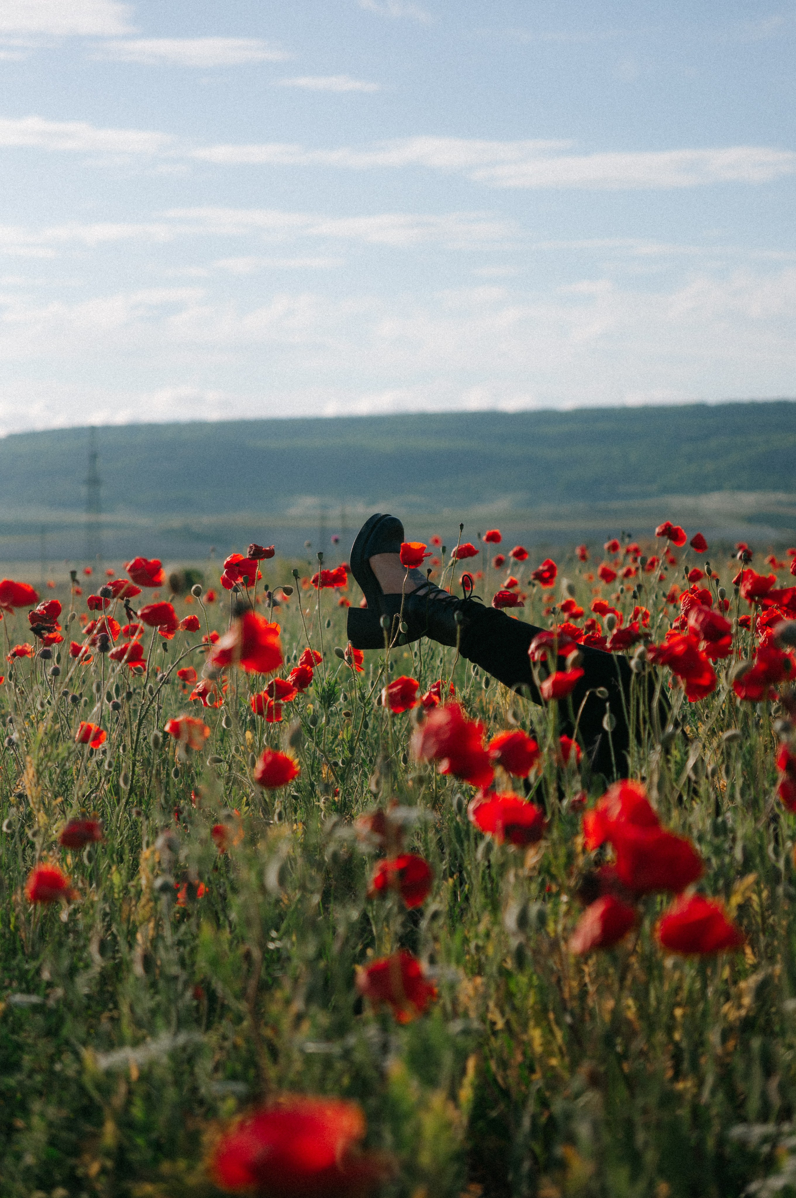 Тур за травами | маки. Обо мне