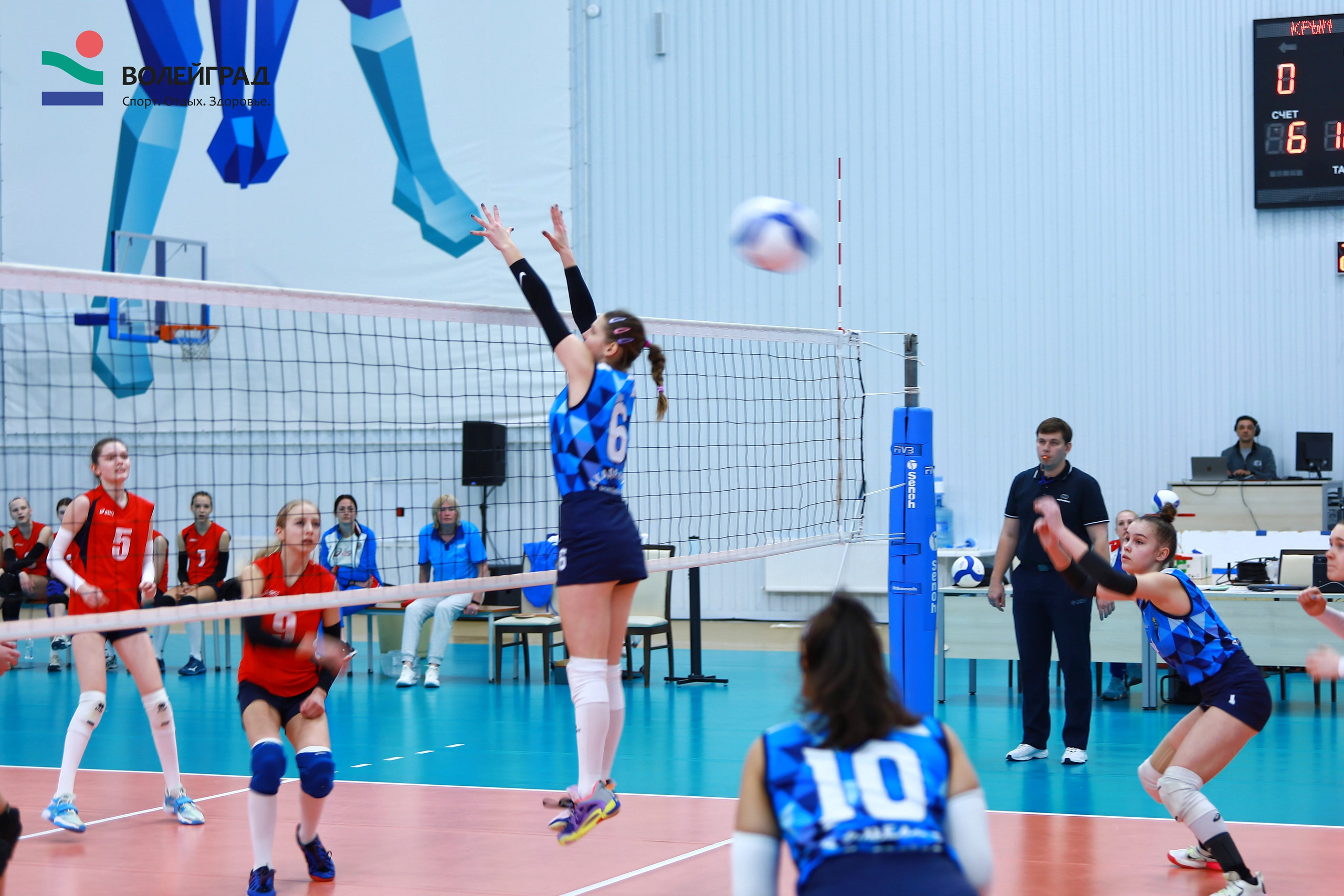 Волейбол ВФВ 07.04.24. Репортажный фотограф Анапа