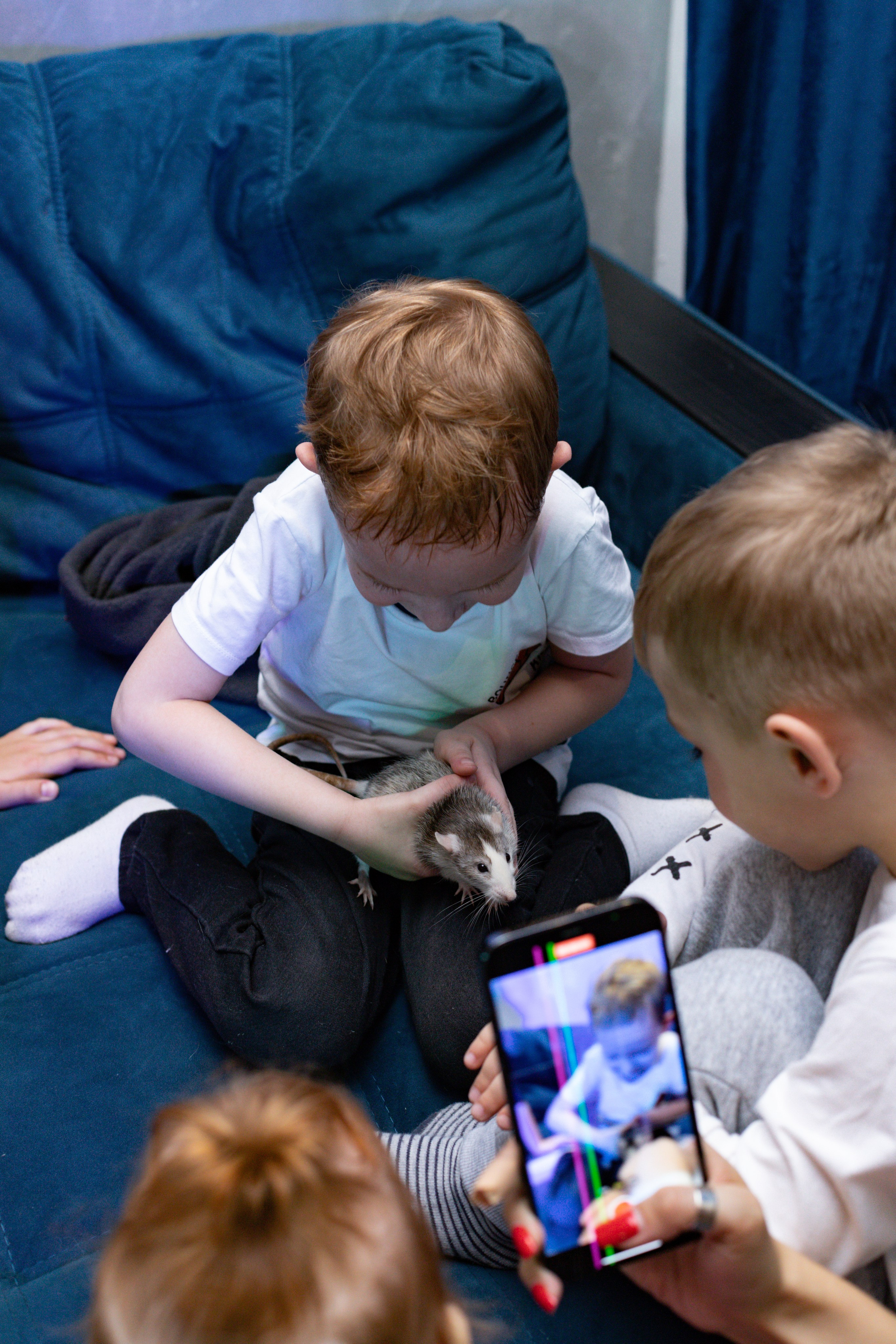 ZAHAR 5 YEAR / BIRTHDAY. Photokarish