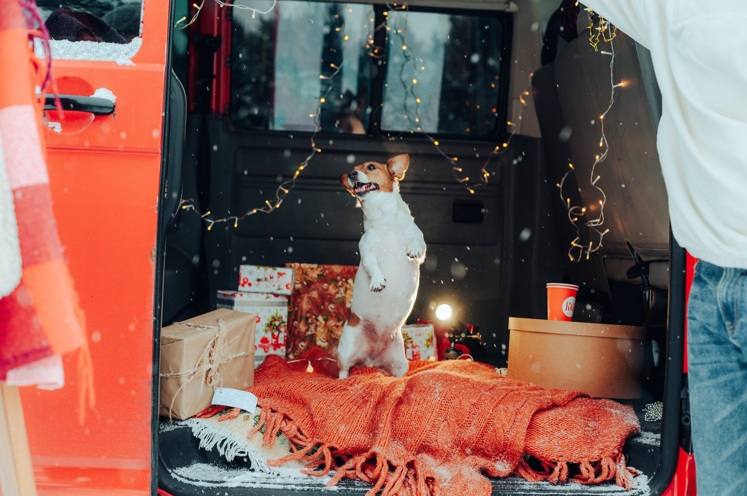 Вика и Денис. Детский и семейный фотограф Катерина Мишина