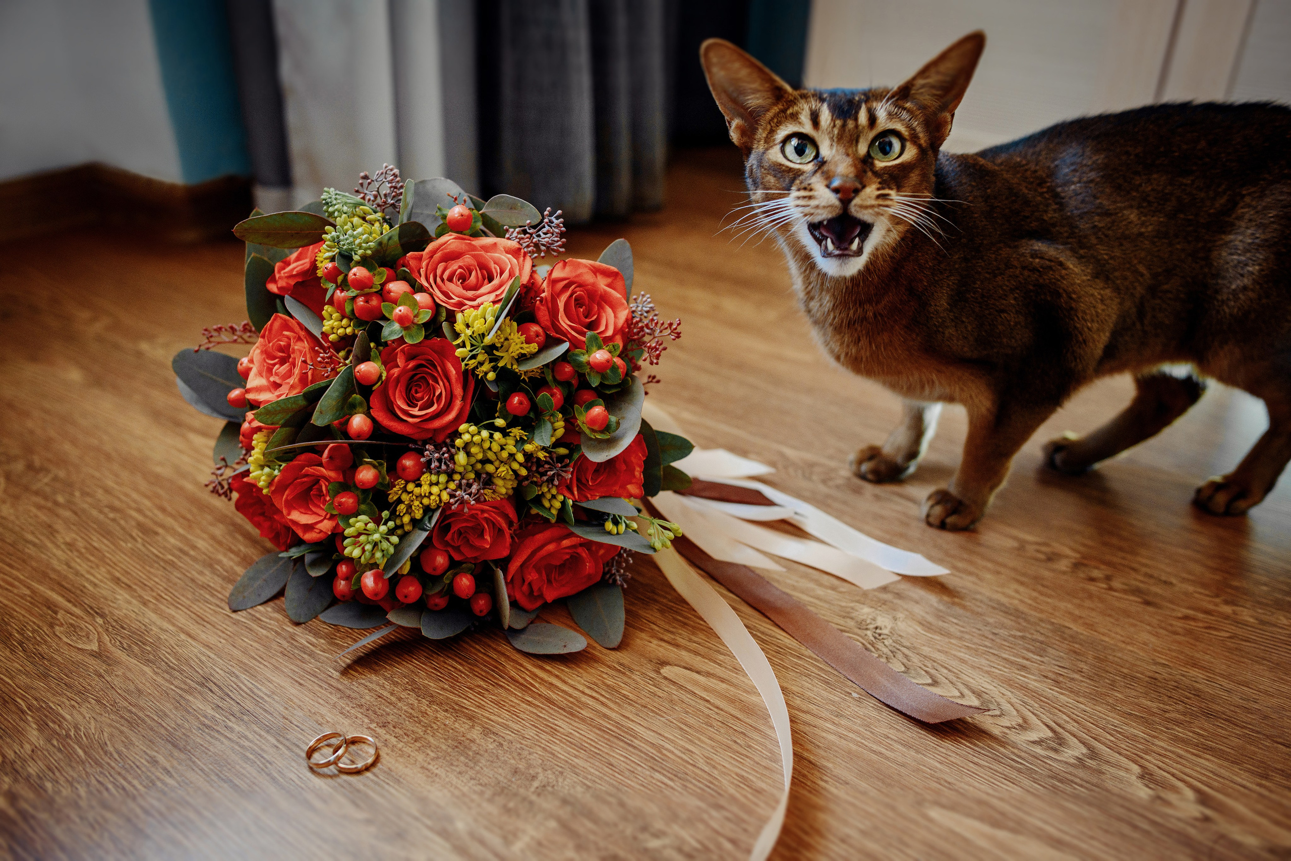 Королева Елена Свадебный и семейный фотограф в Туле