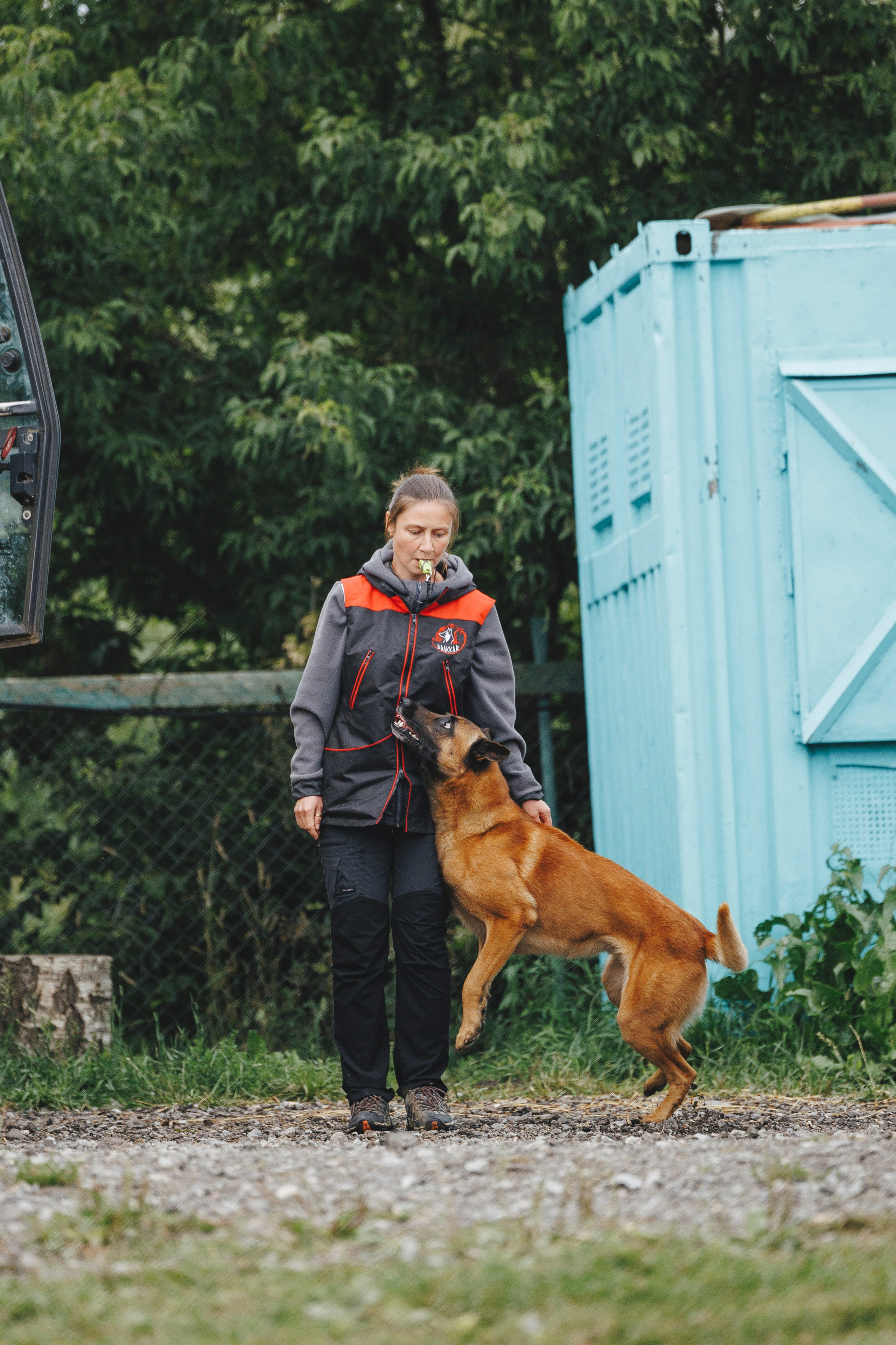 08.08.25-10.08.25 ЧР по мондьорингу г. Вологда. Фотограф-анималист Анна Маринич