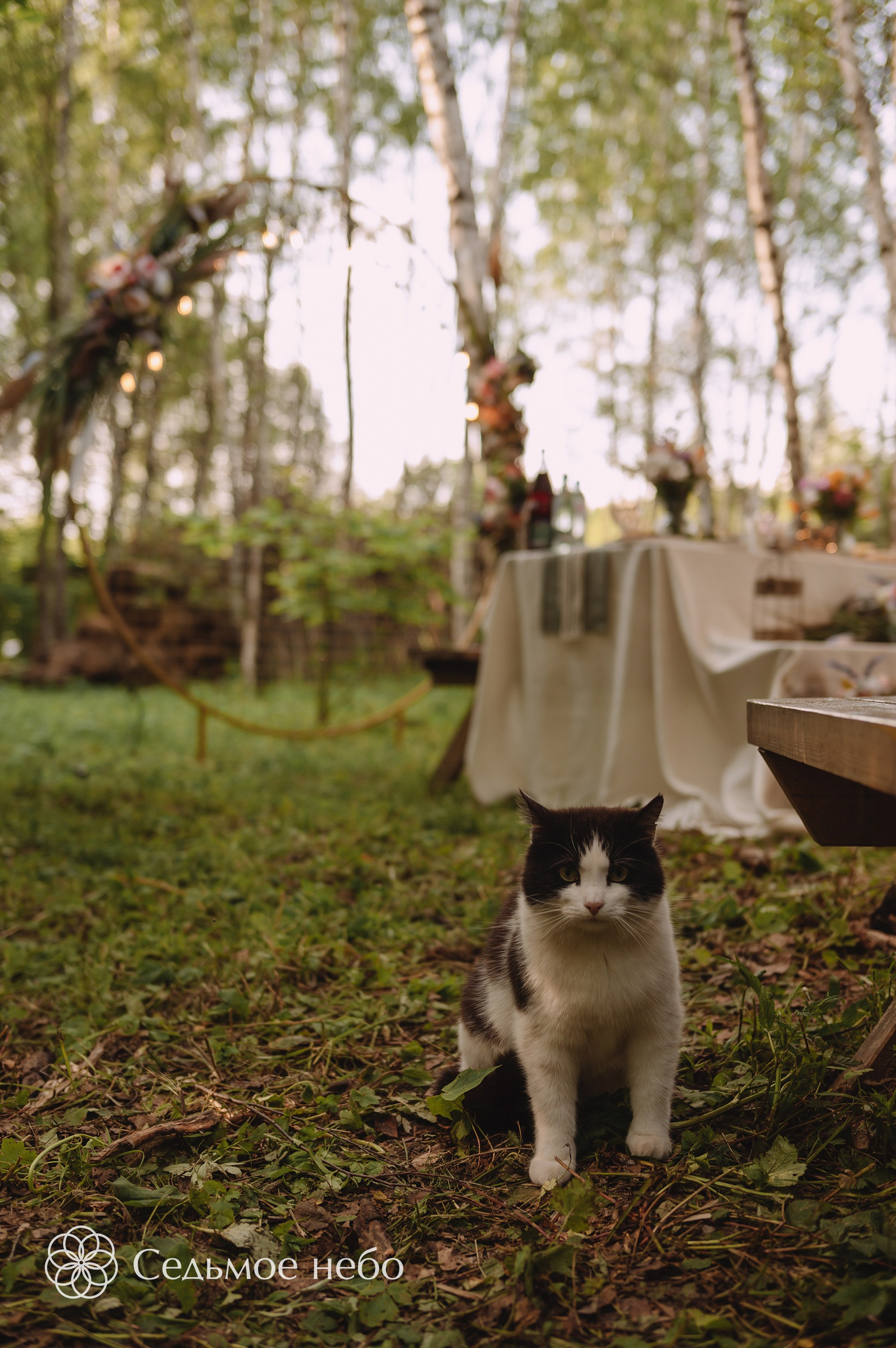 Николай & Елена. Студия декора Седьмое небо