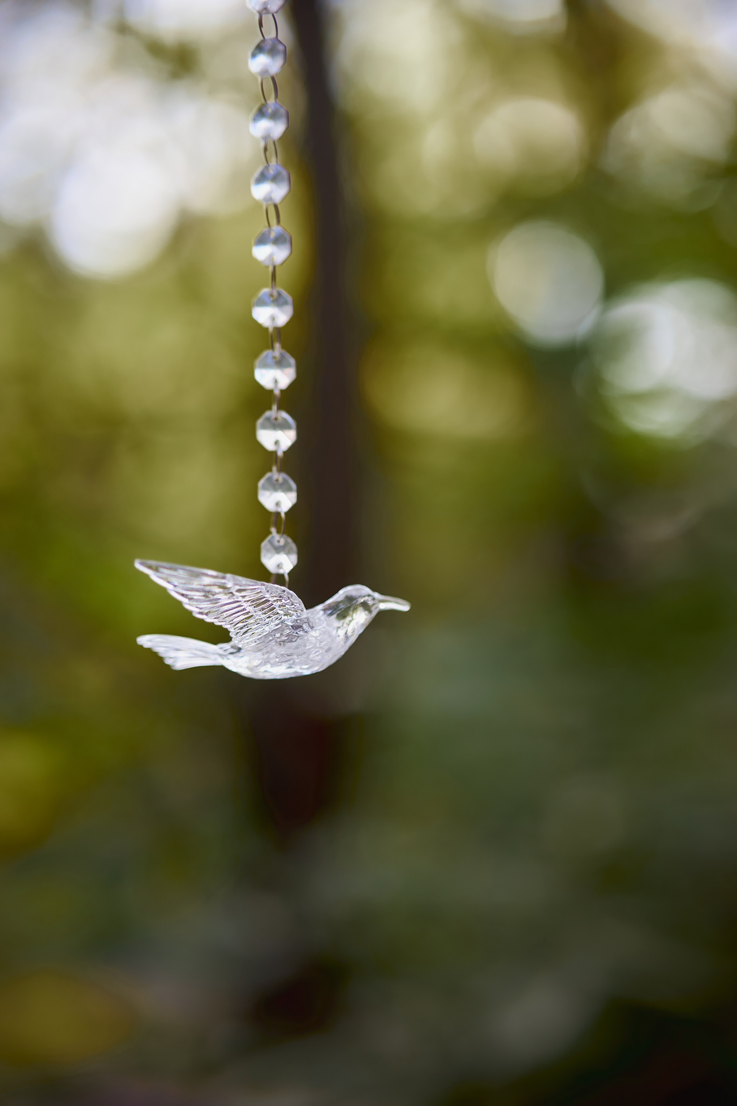 Свадьба в лесу. Фотограф в городе Ростов-на-Дону Лариса Черных
