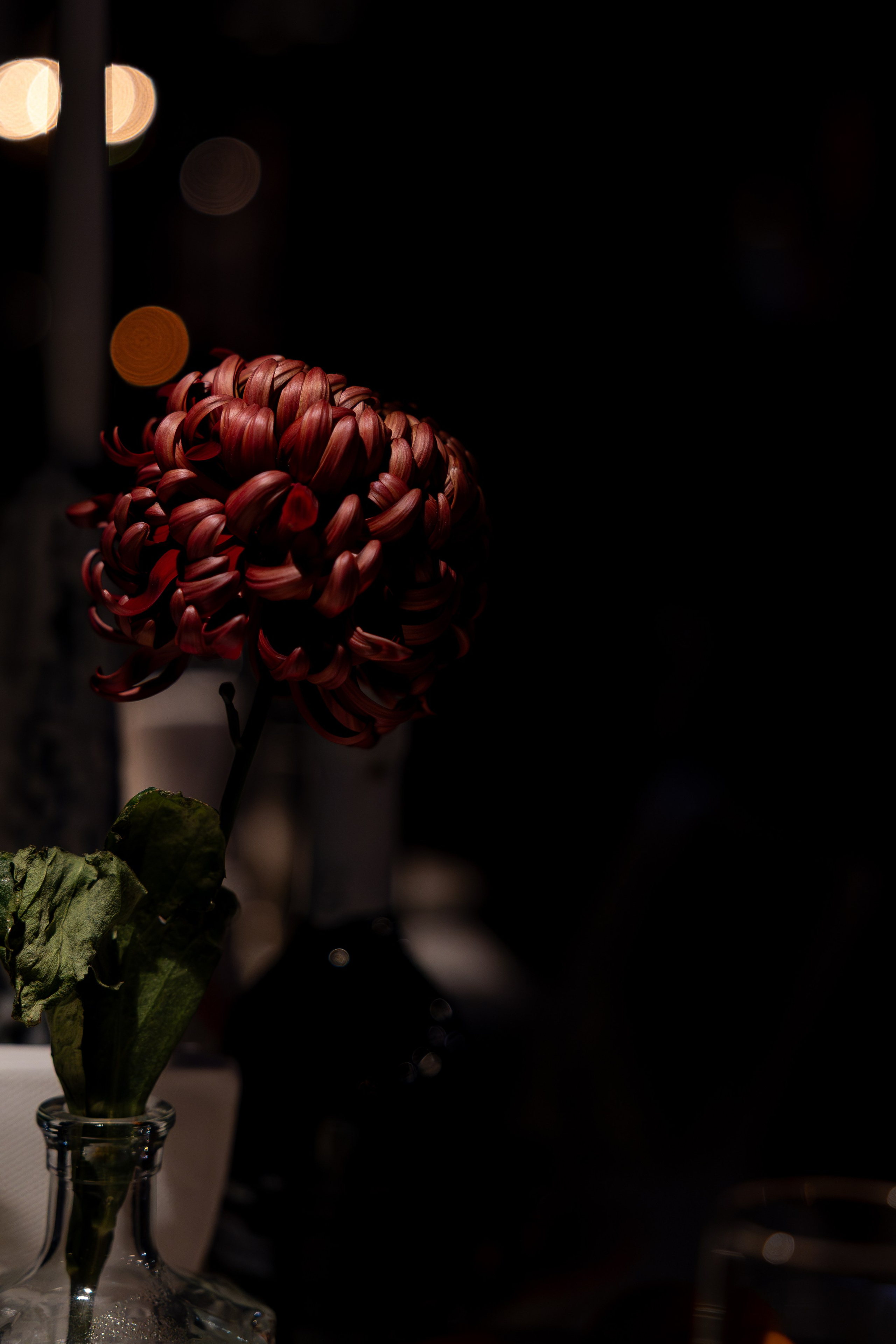 Новогодняя Ночь в арт-пространстве Gastrodvor. Дженбаз Павел — фотограф в Ялте