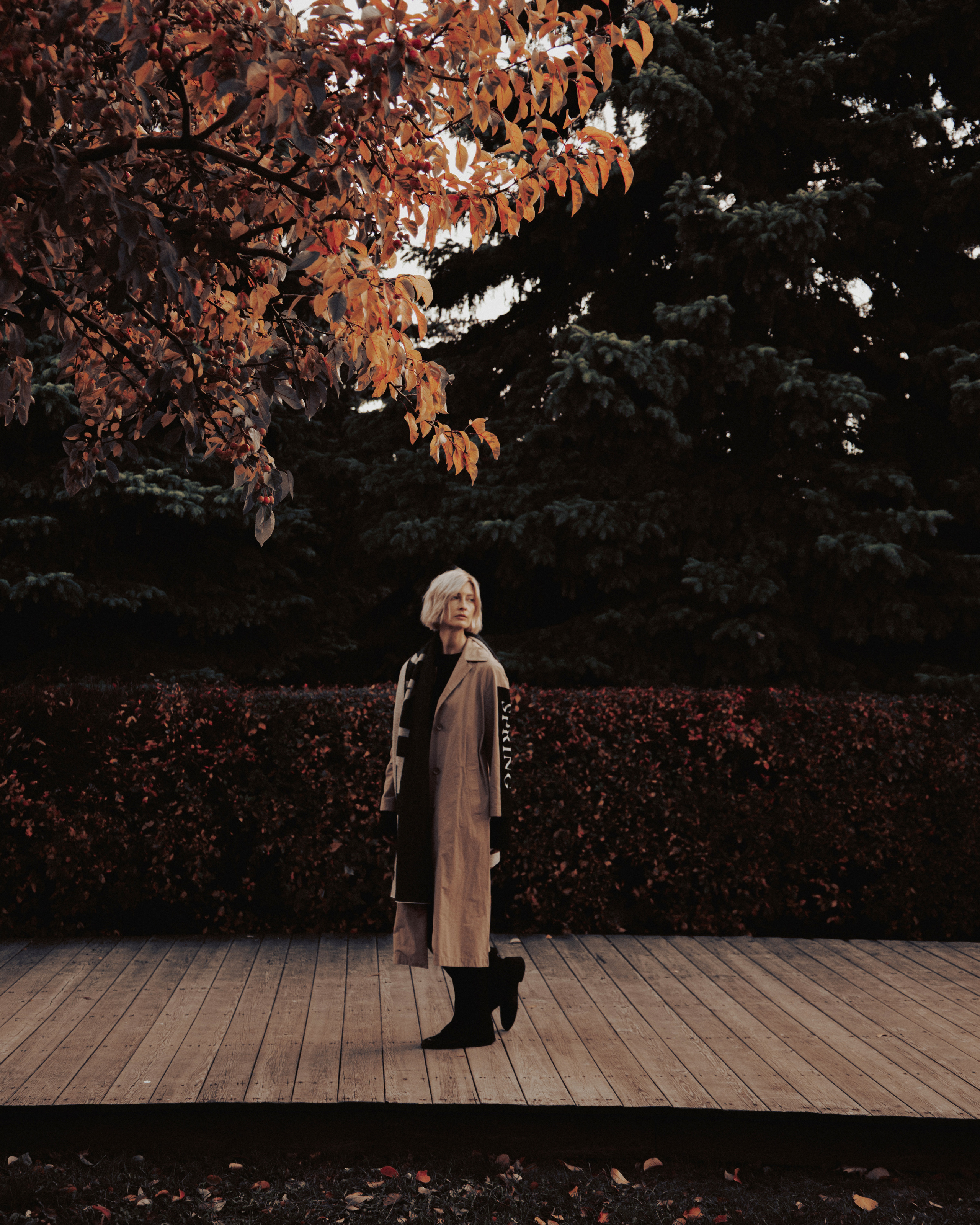 Wild Is The Wind — II. Фотограф в Москве Ярослава Фролова